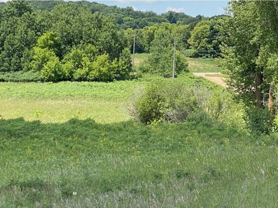Lot C 113th Street Property Photo 1