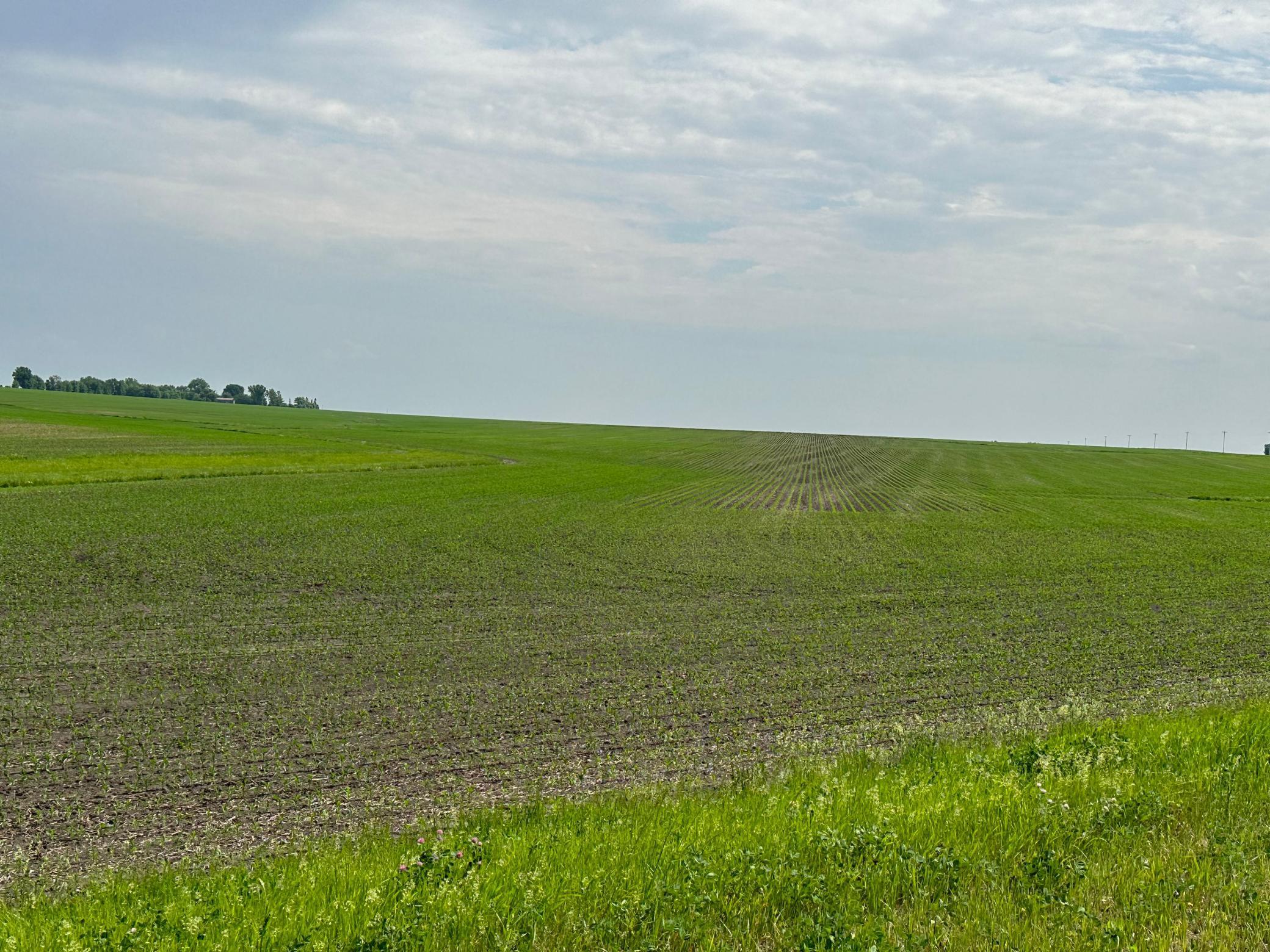 6689380 Property Photo 1