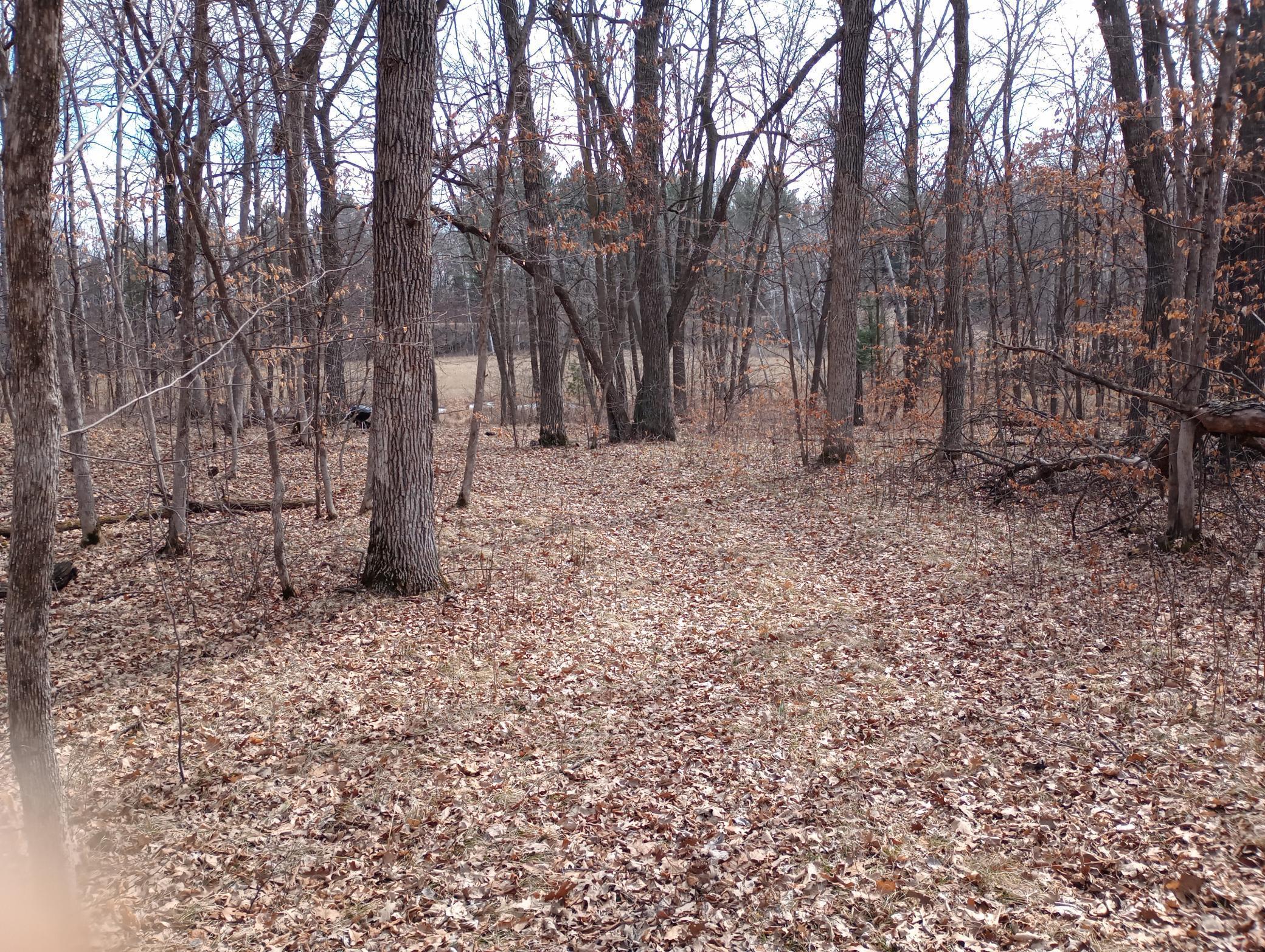 2 Pine Island Pt Drive Property Photo 1