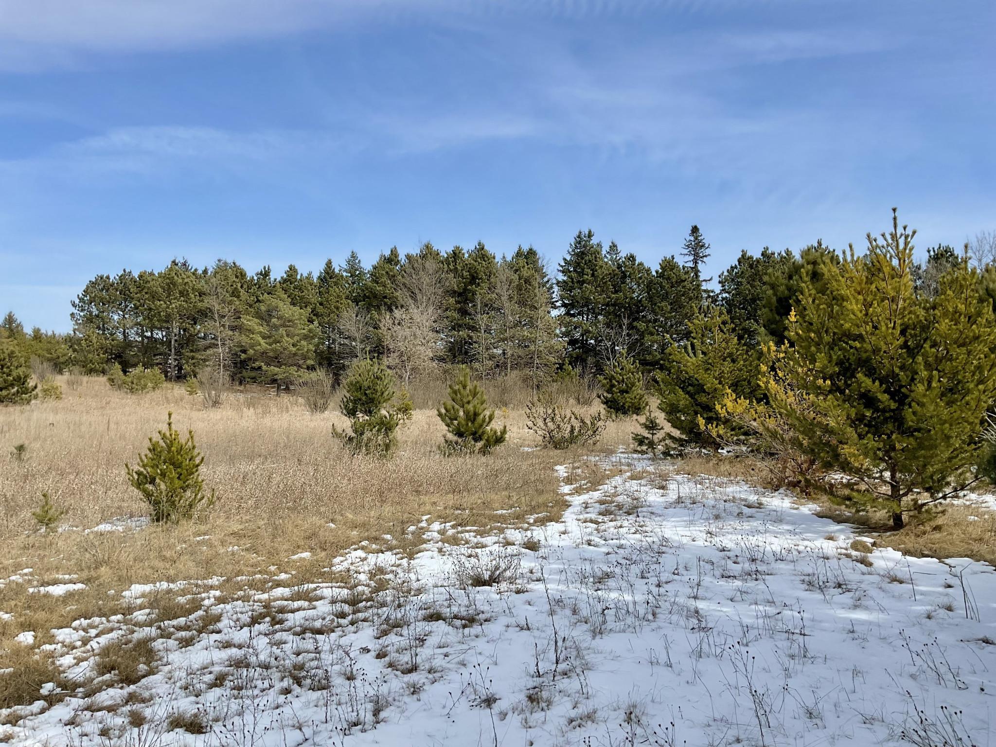 22074 Gumby Bear Road Property Photo 7