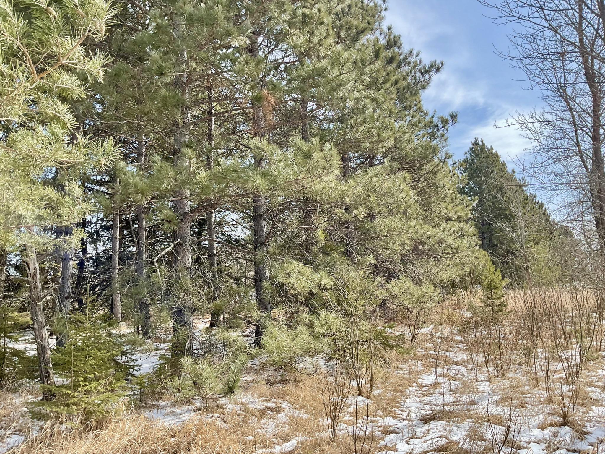 22074 Gumby Bear Road Property Photo 9