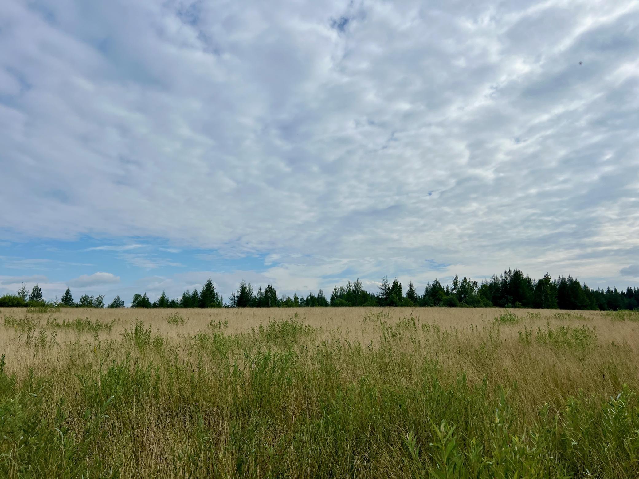 44192 Pioneer Road Property Photo 4