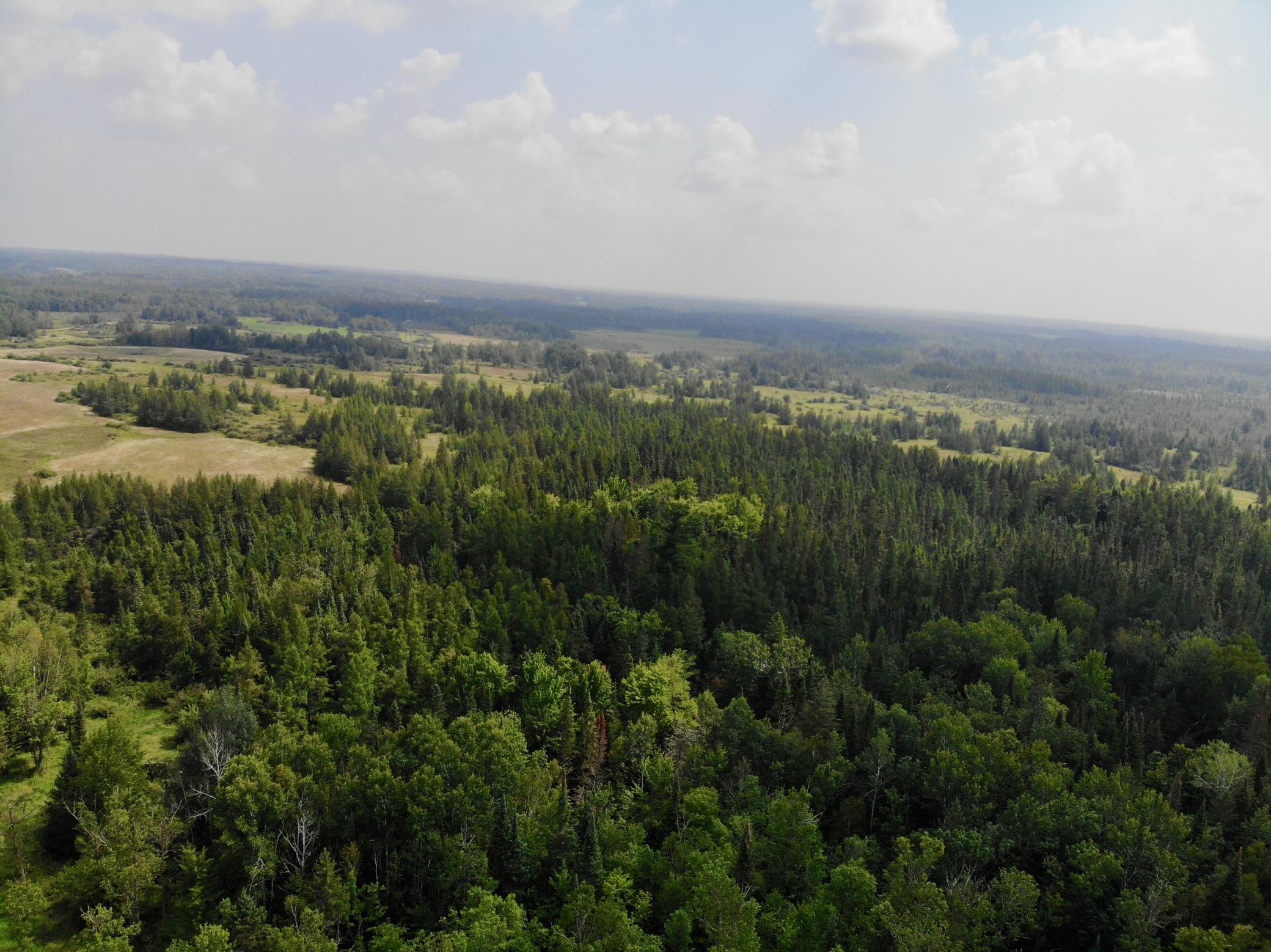44192 Pioneer Road Property Photo 5