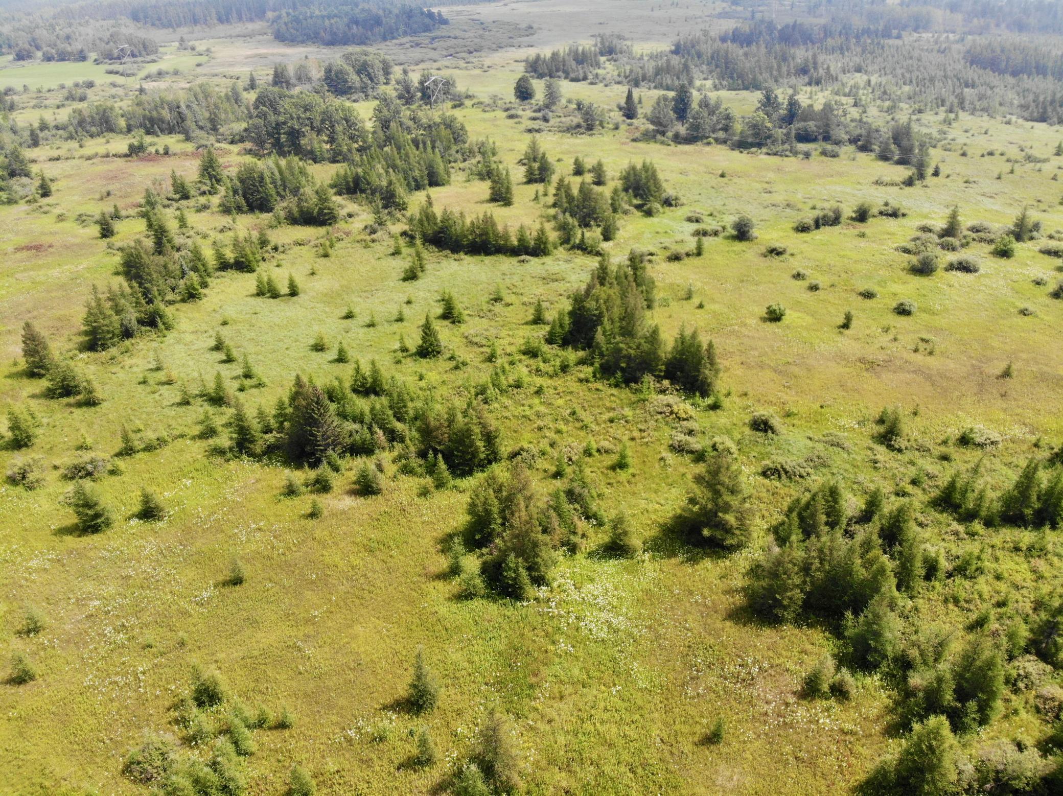 44192 Pioneer Road Property Photo 17