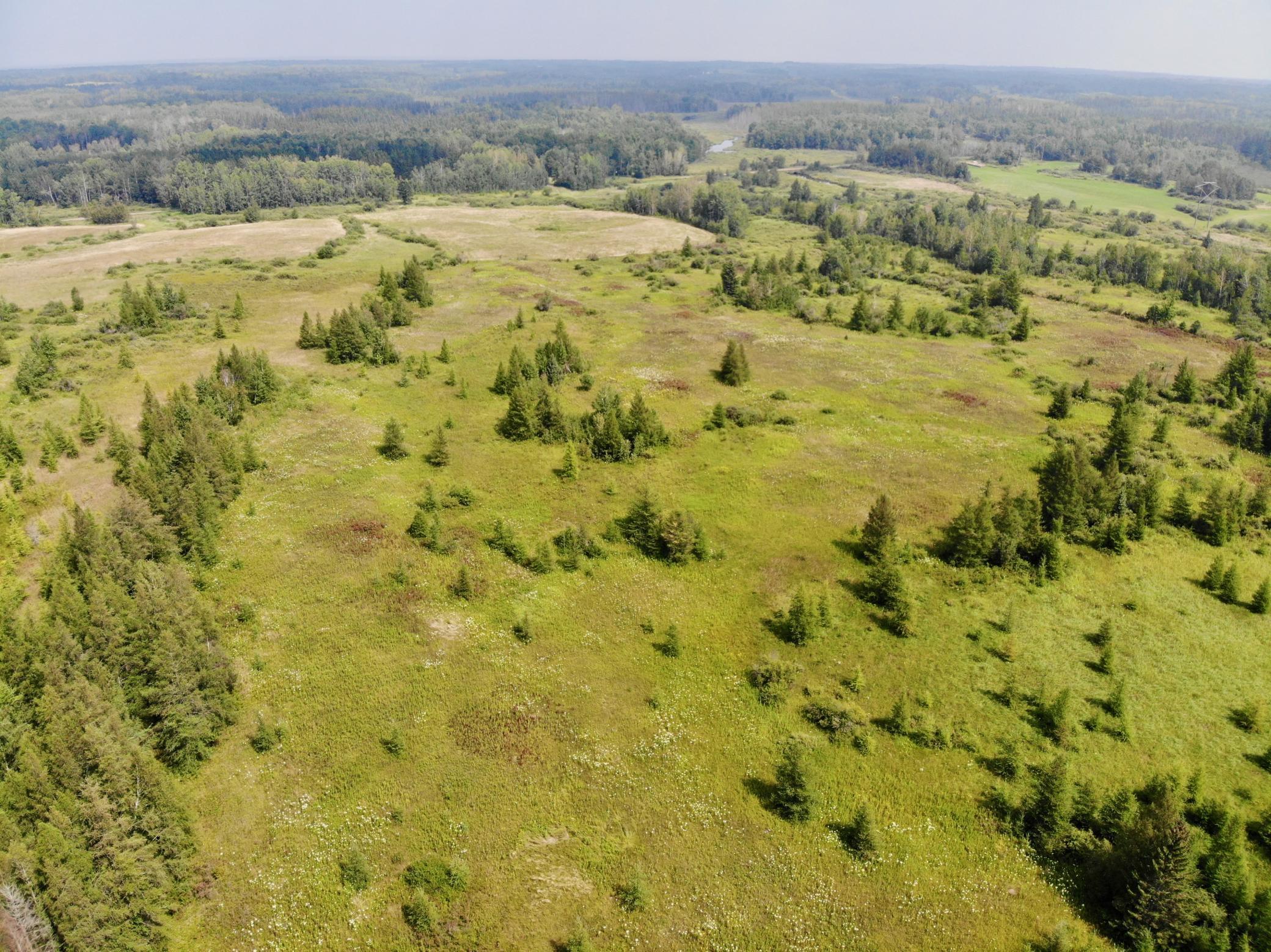 44192 Pioneer Road Property Photo 18