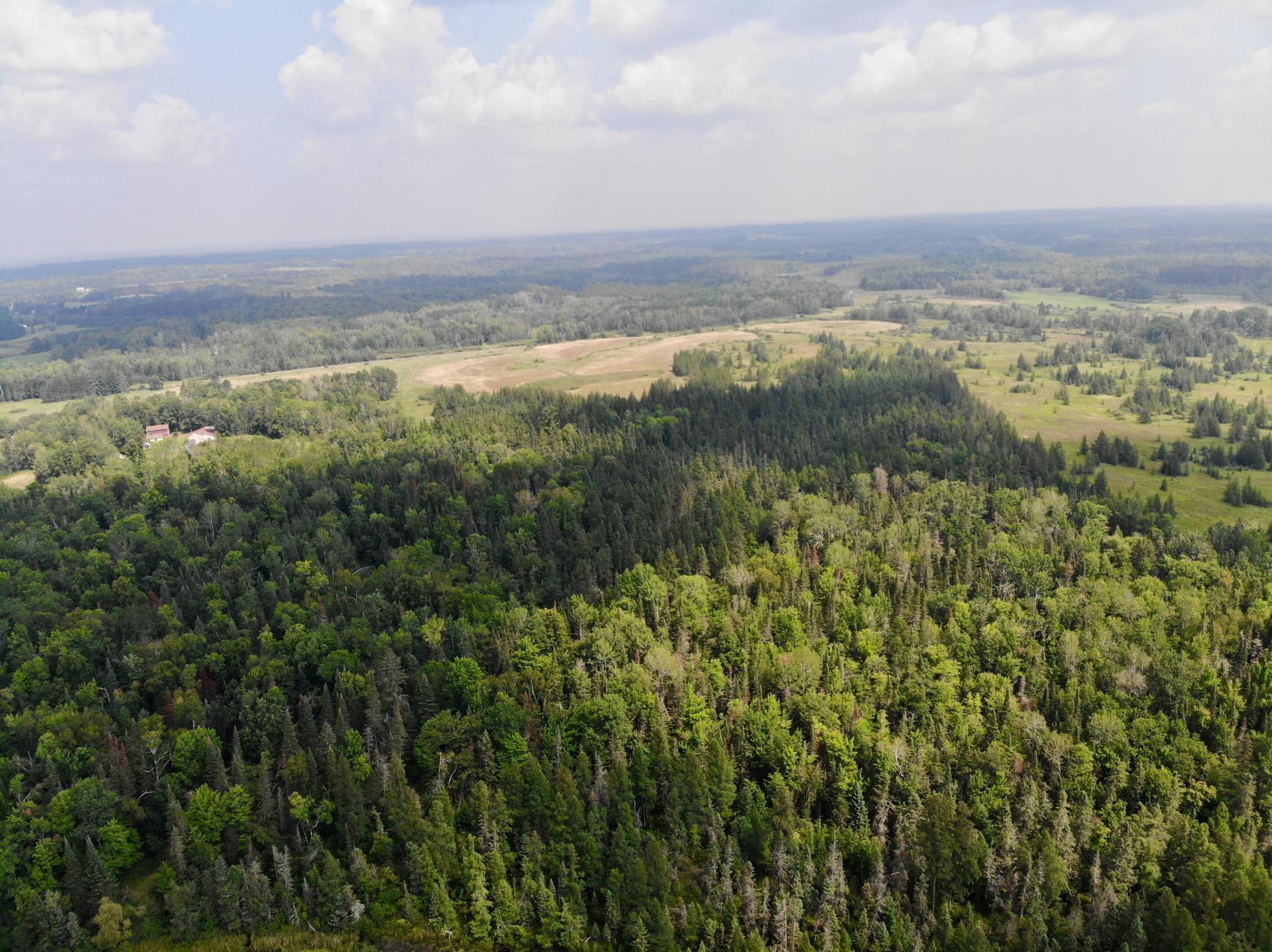 44192 Pioneer Road Property Photo 25