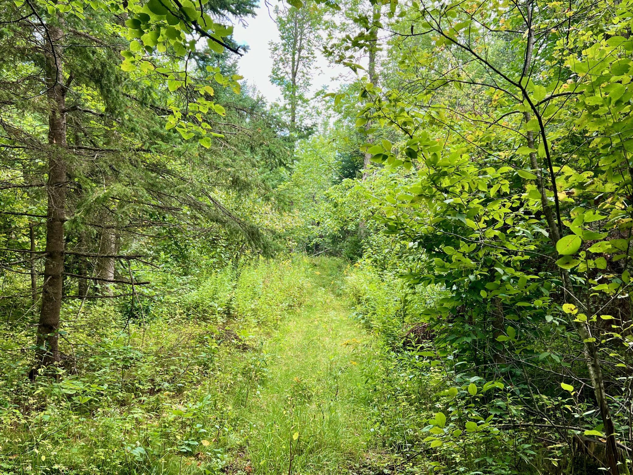 44192 Pioneer Road Property Photo 46