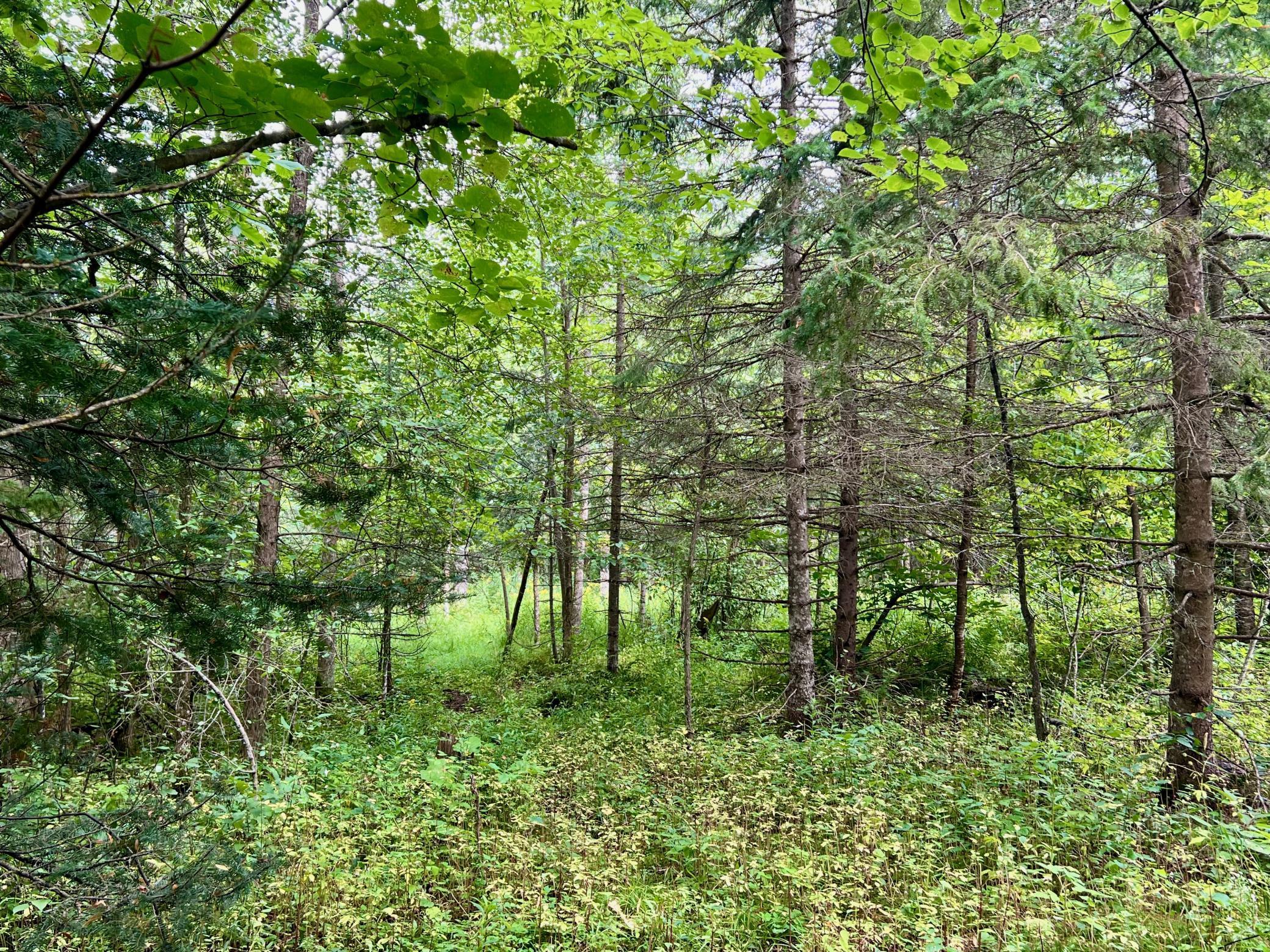 44192 Pioneer Road Property Photo 47