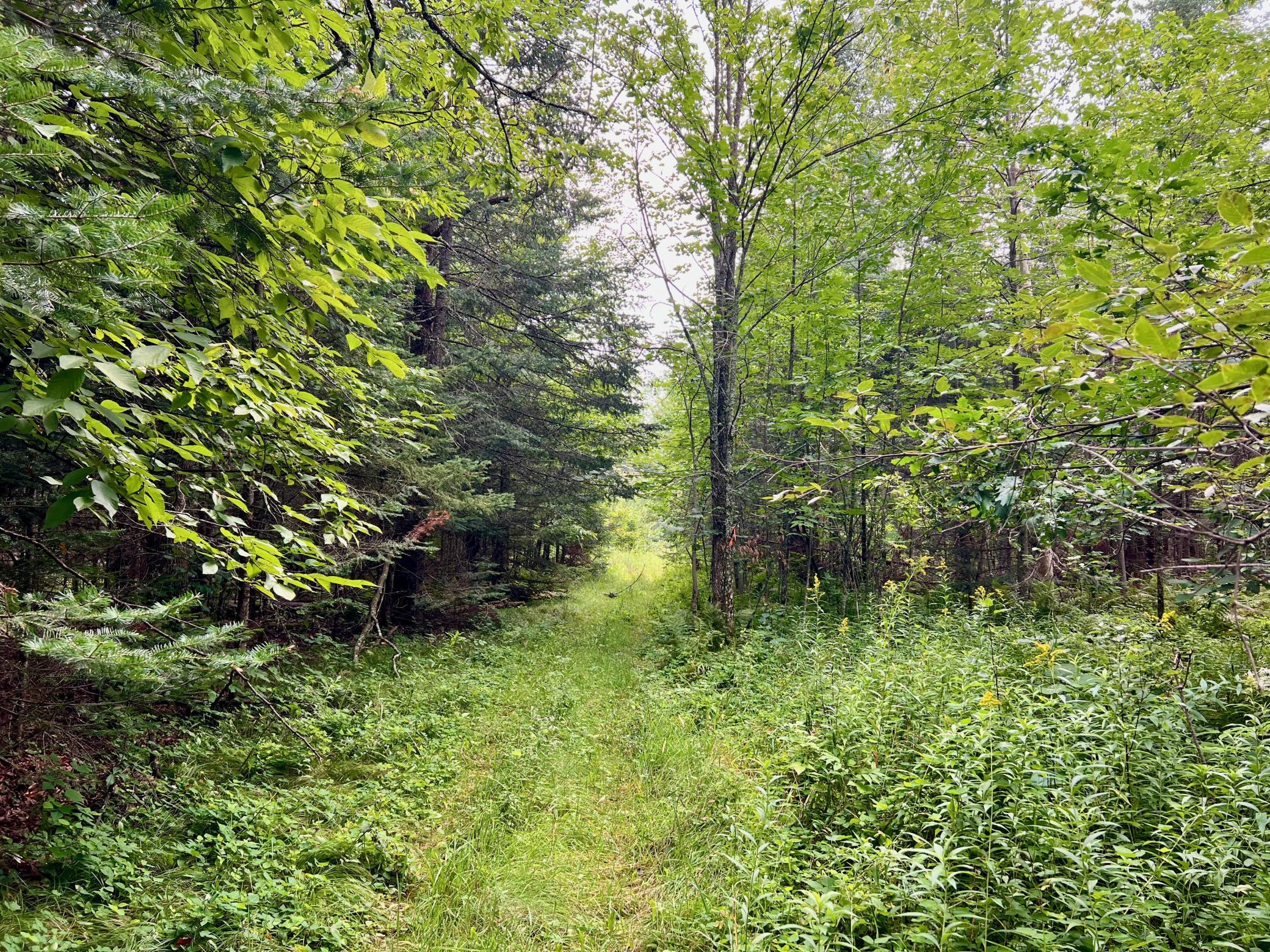 44192 Pioneer Road Property Photo 49