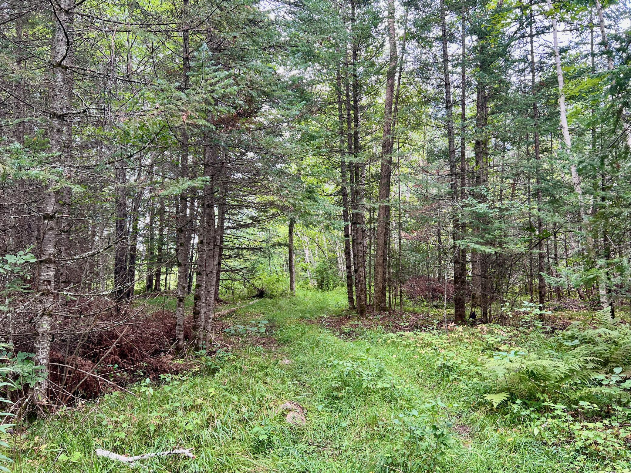 44192 Pioneer Road Property Photo 55