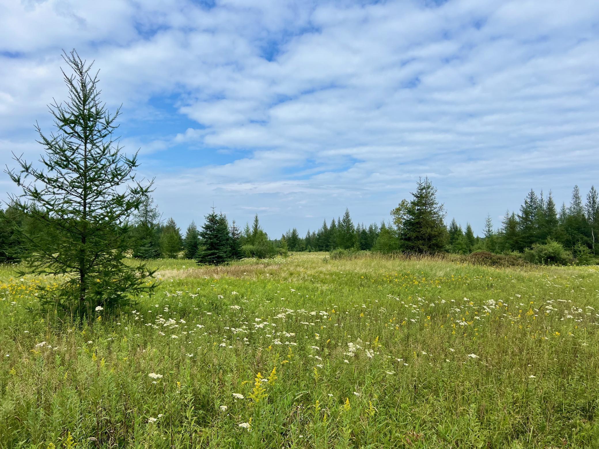 44192 Pioneer Road Property Photo 56