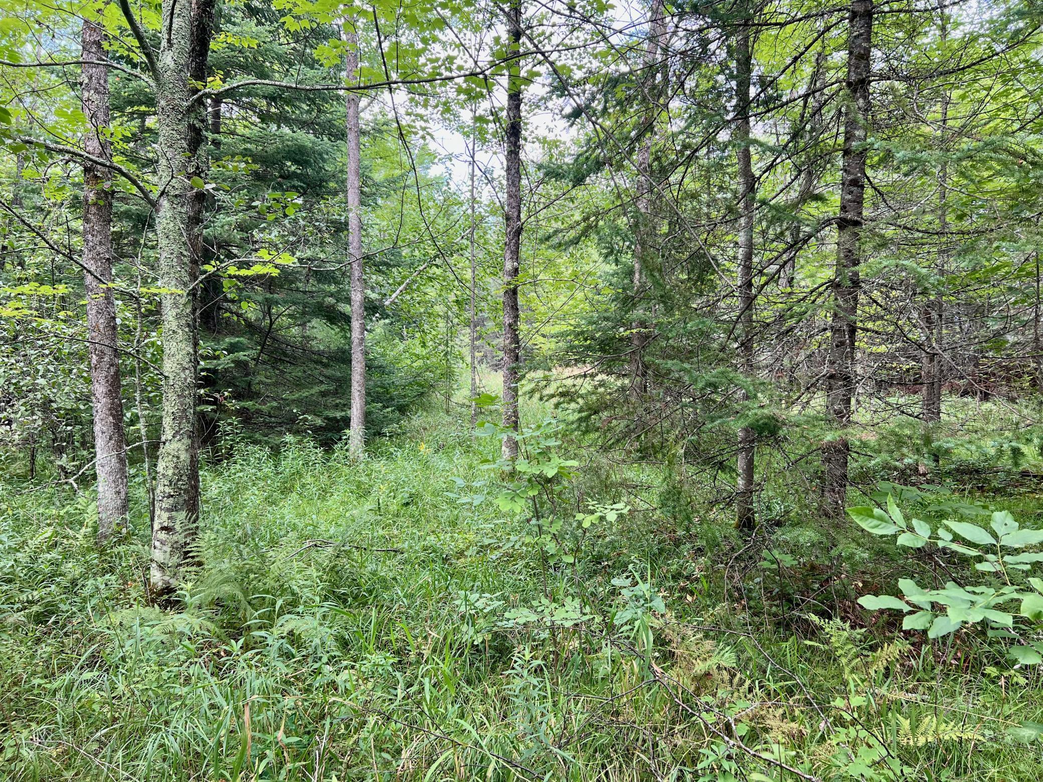 44192 Pioneer Road Property Photo 57