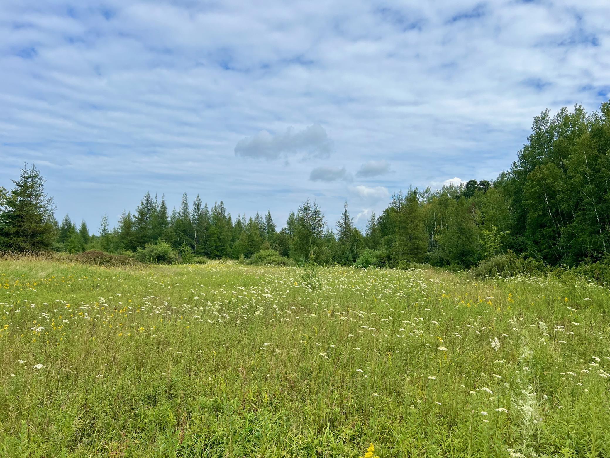 44192 Pioneer Road Property Photo 58