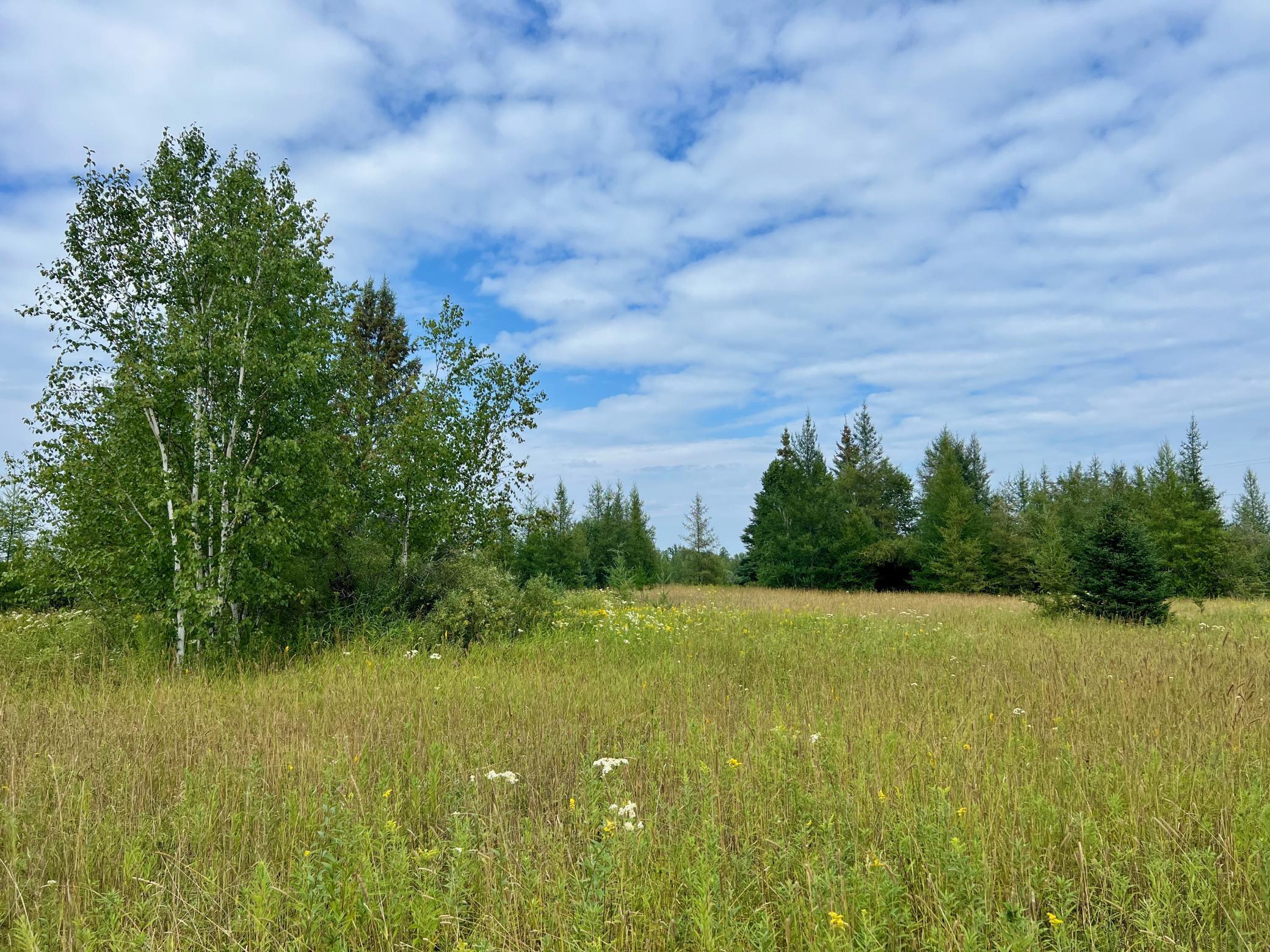 44192 Pioneer Road Property Photo 59