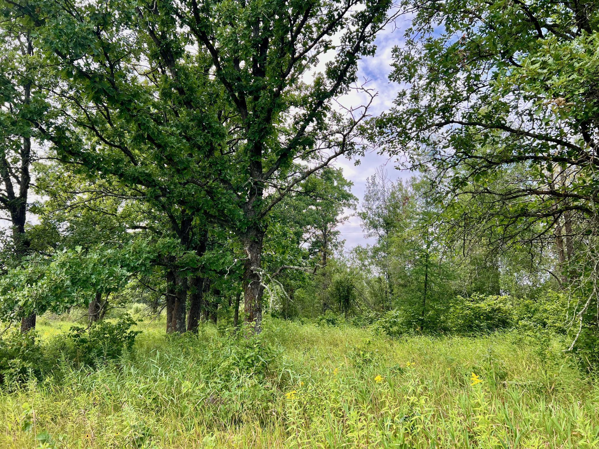 44192 Pioneer Road Property Photo 64