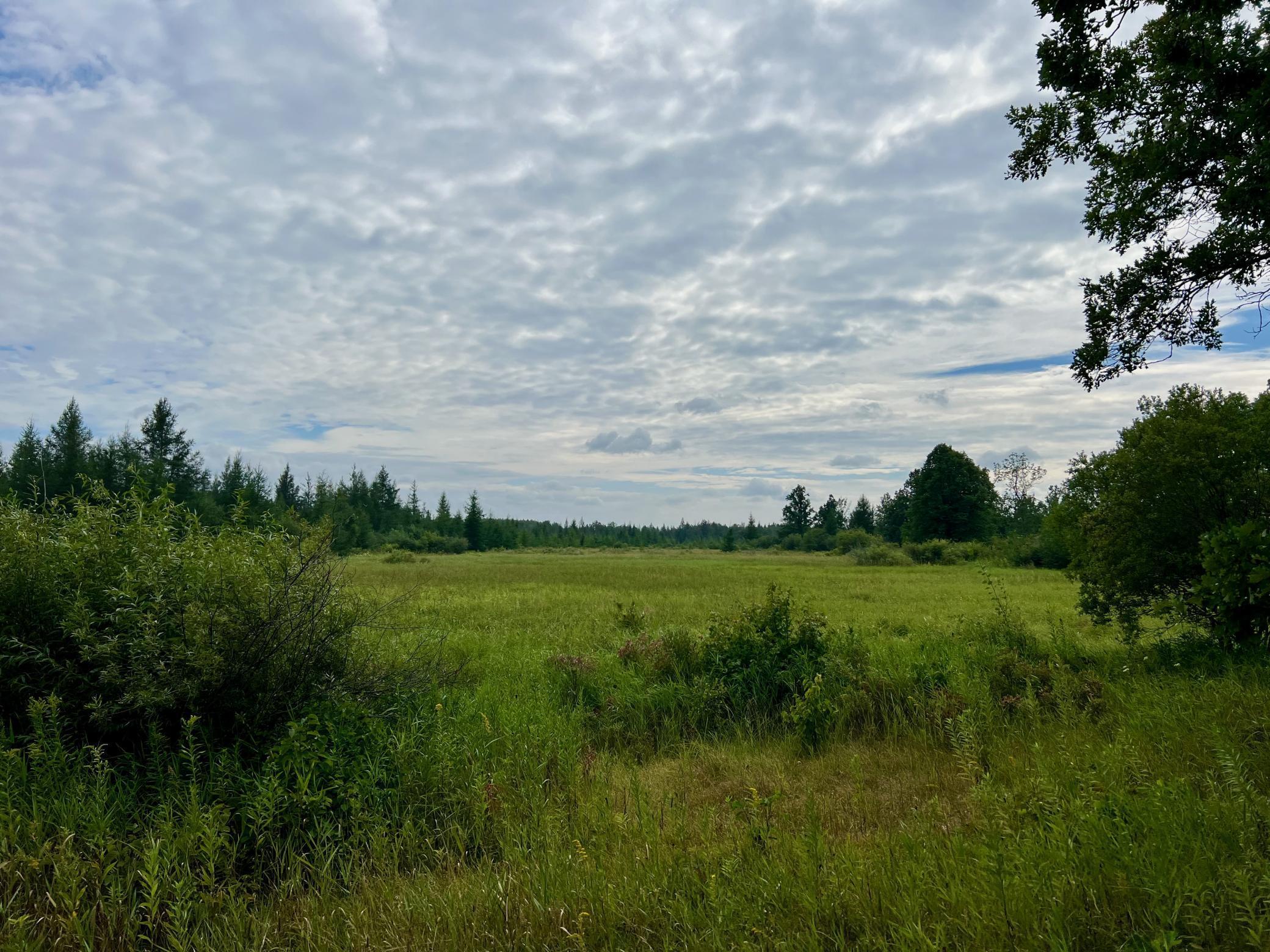44192 Pioneer Road Property Photo 66