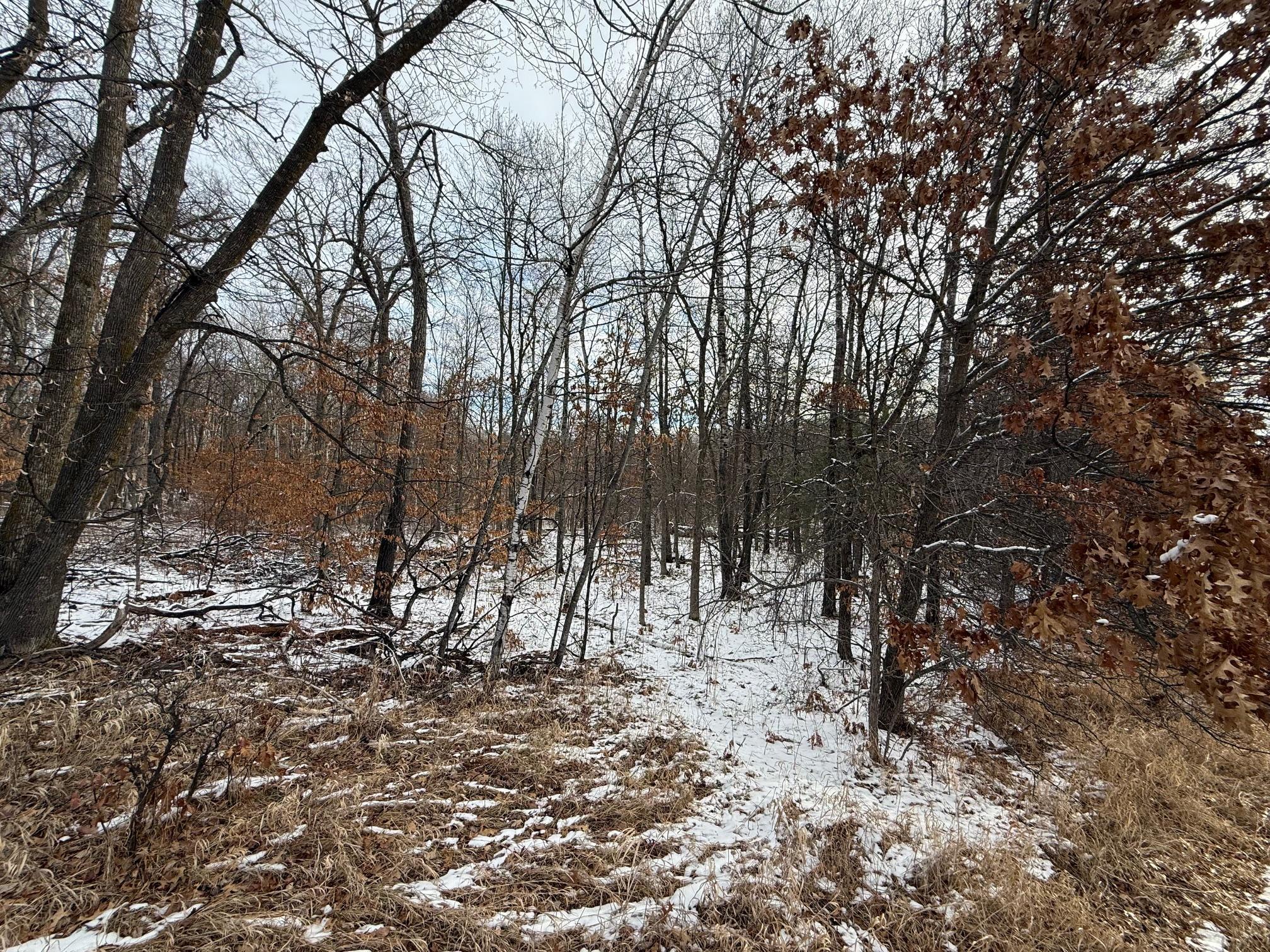 Lot 25 County Rd 11 Property Photo 1