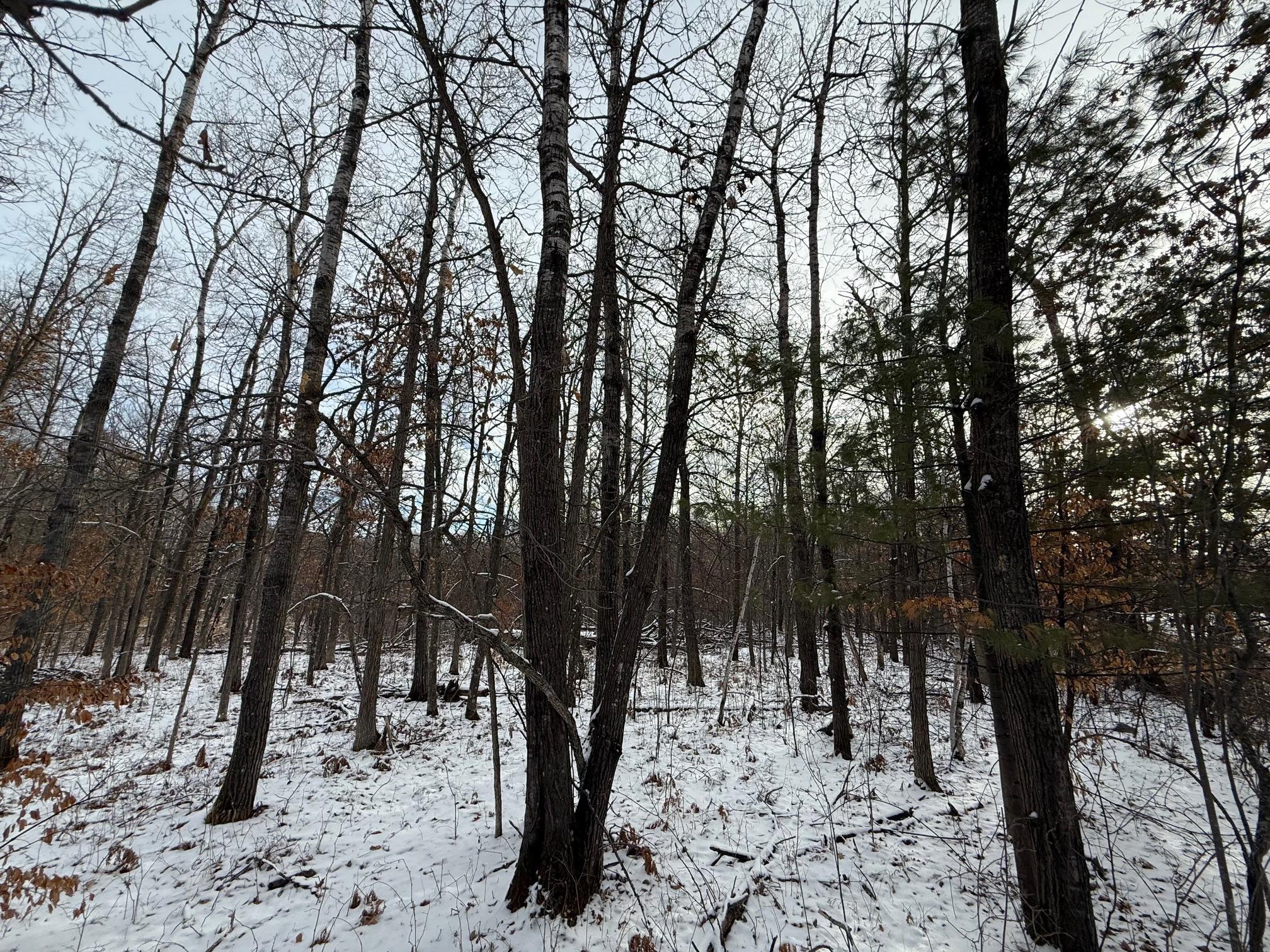 Lot 25 County Rd 11 Property Photo 3