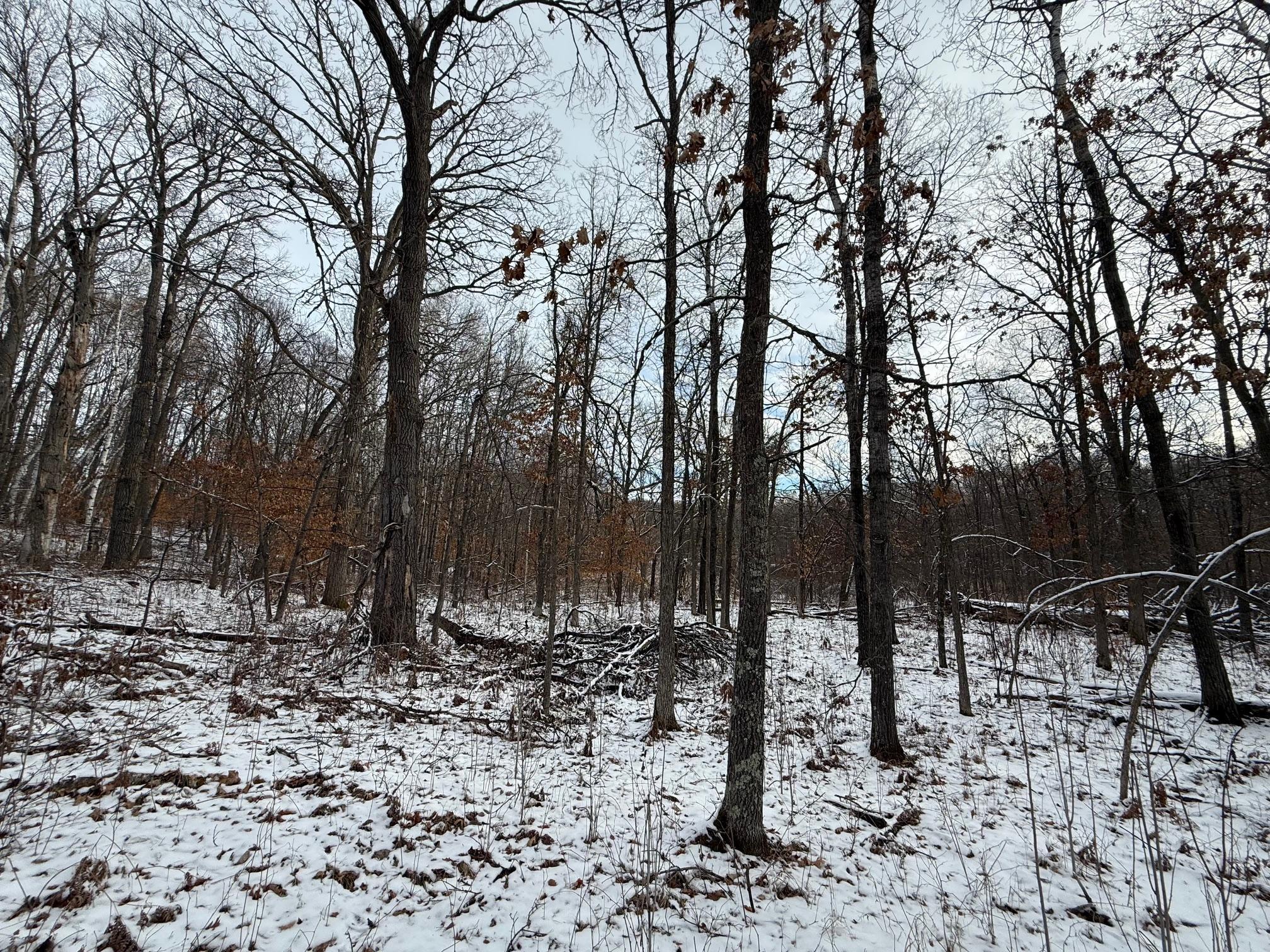 Lot 25 County Rd 11 Property Photo 4