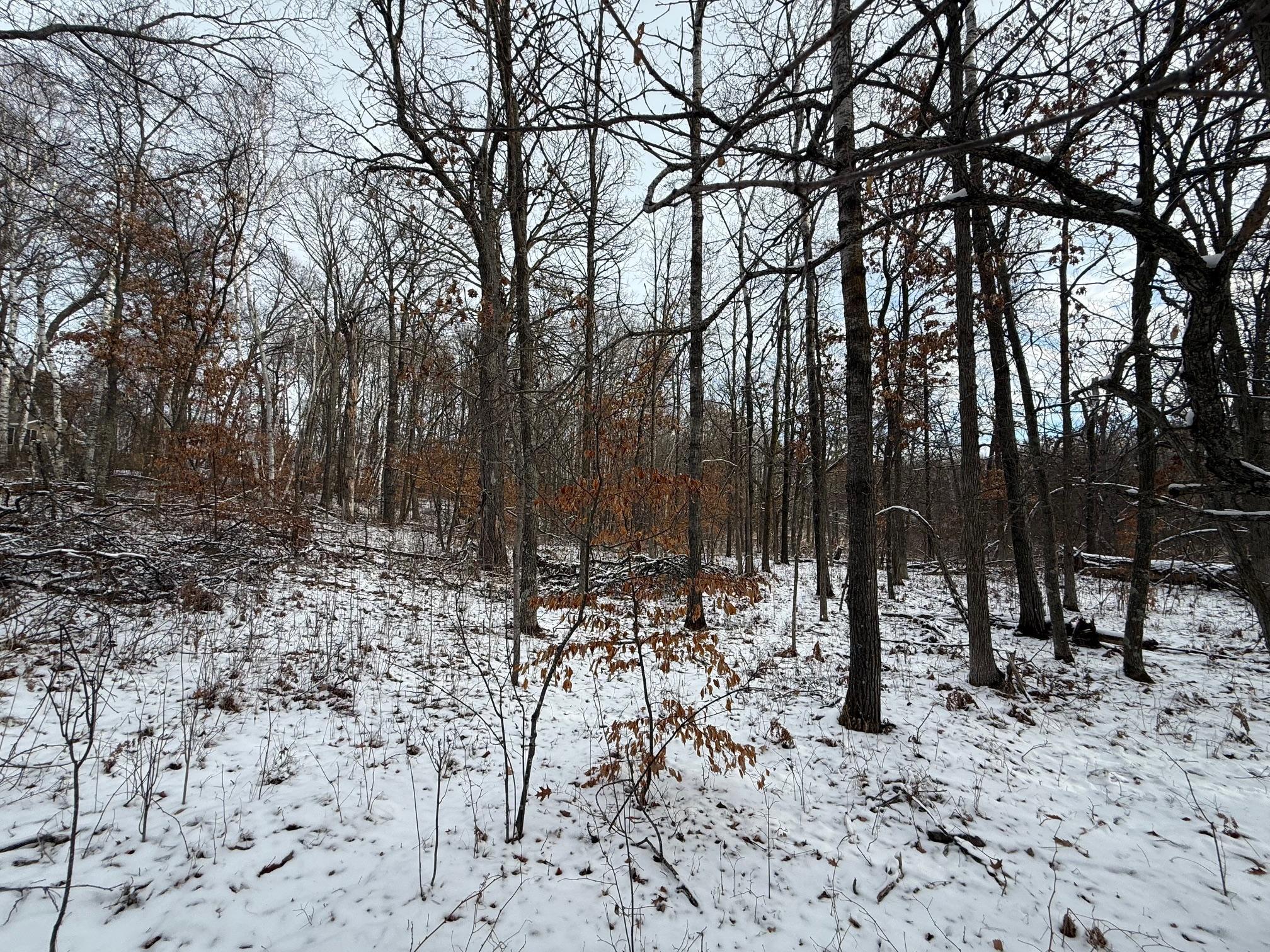 Lot 25 County Rd 11 Property Photo 5