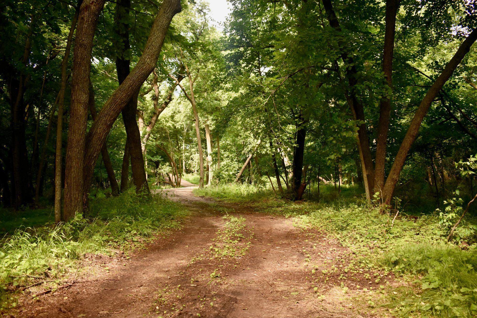Lot 16 Turtle Bay Lane Property Photo 1