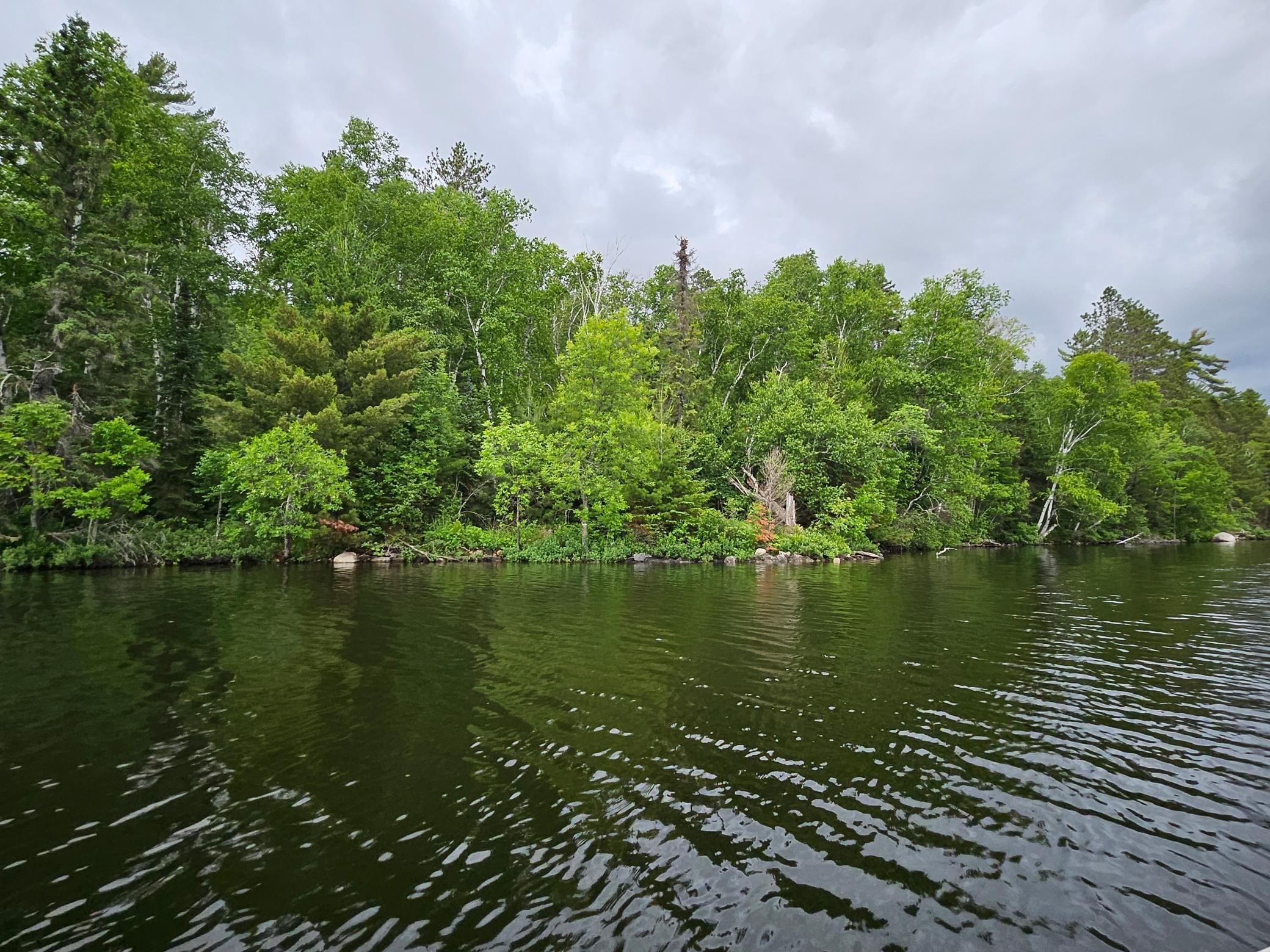 Xxx Hinsdale Island Property Photo 4