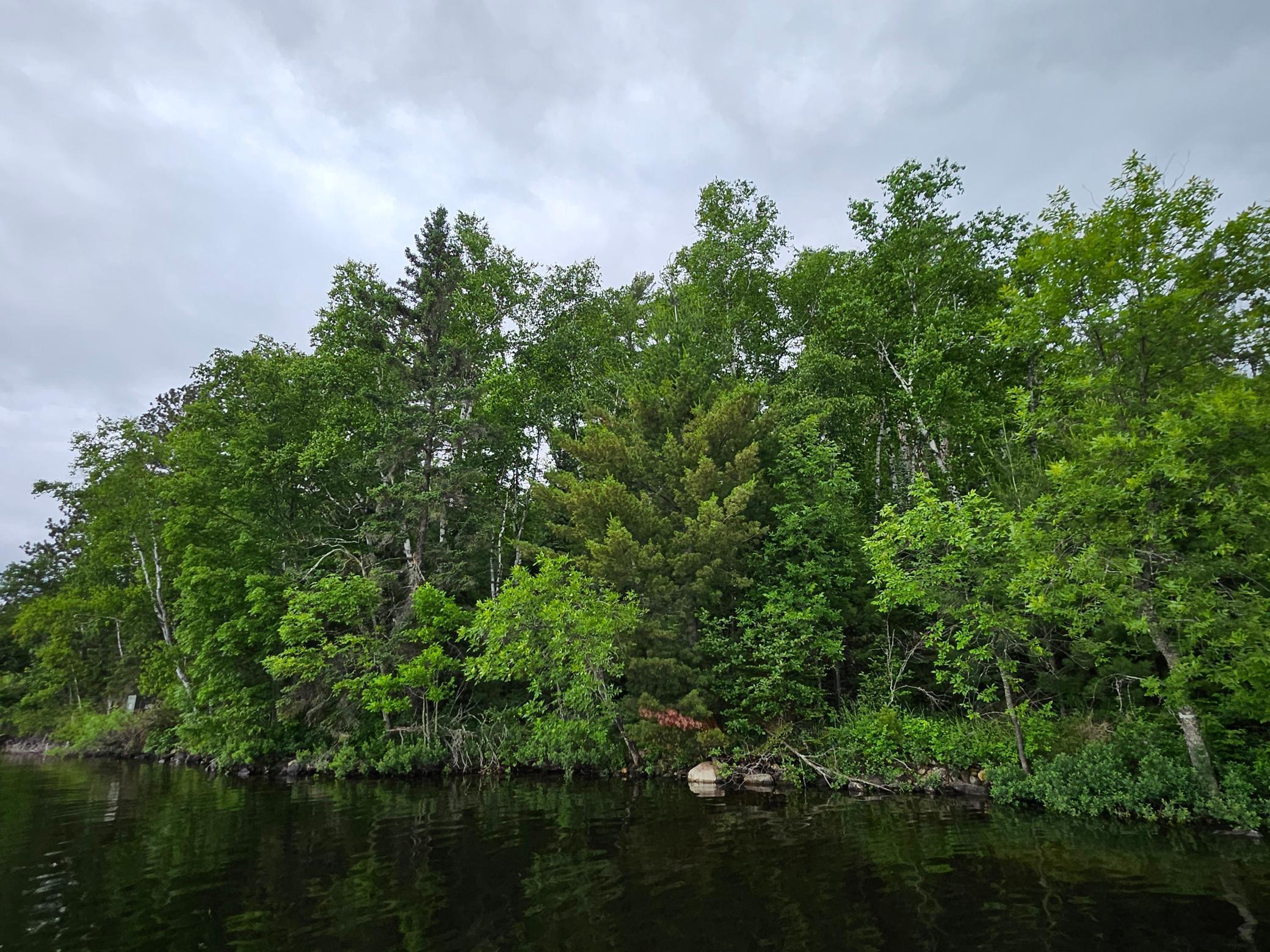 Xxx Hinsdale Island Property Photo 5