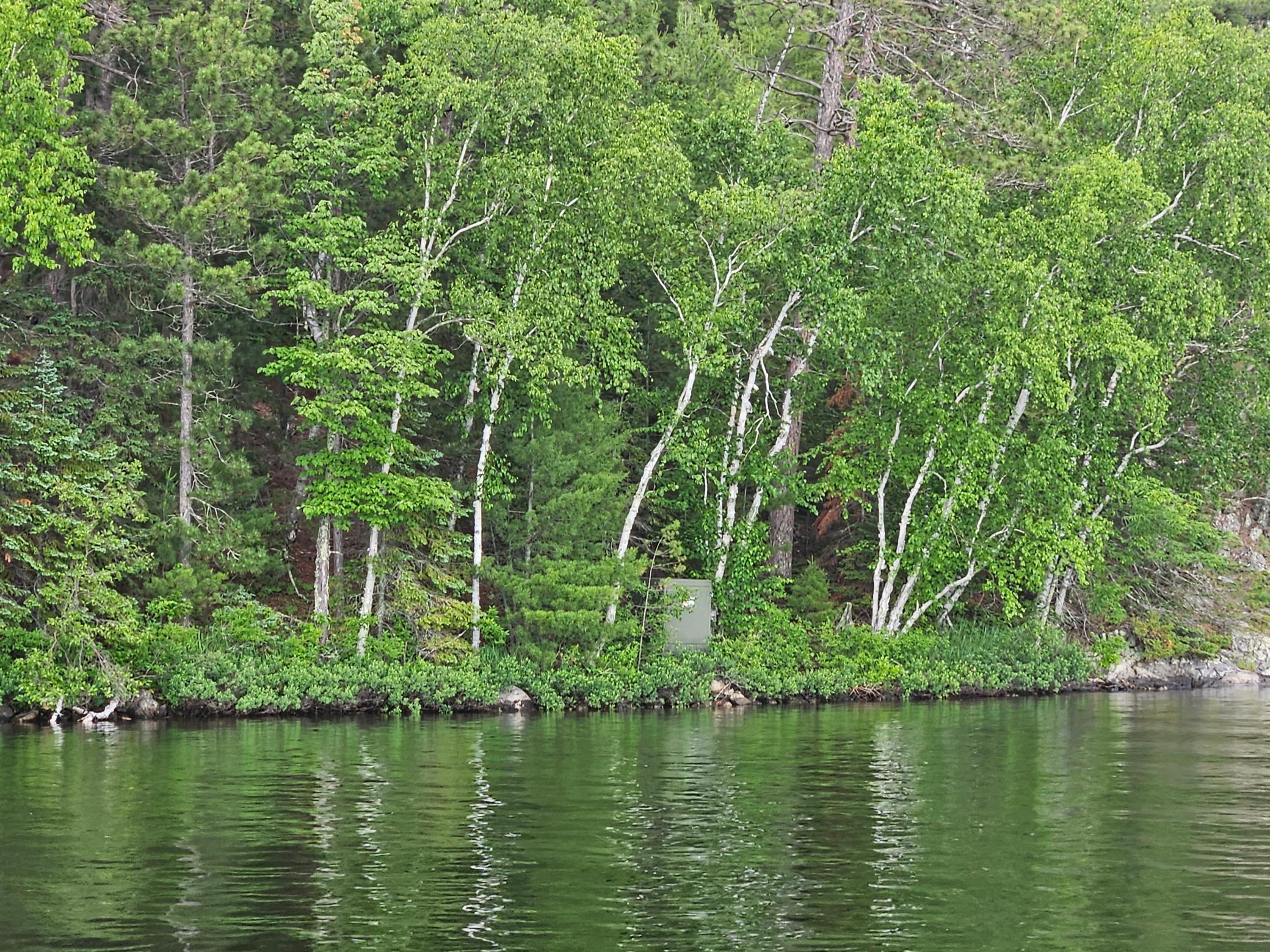 Xxx Hinsdale Island Property Photo 8