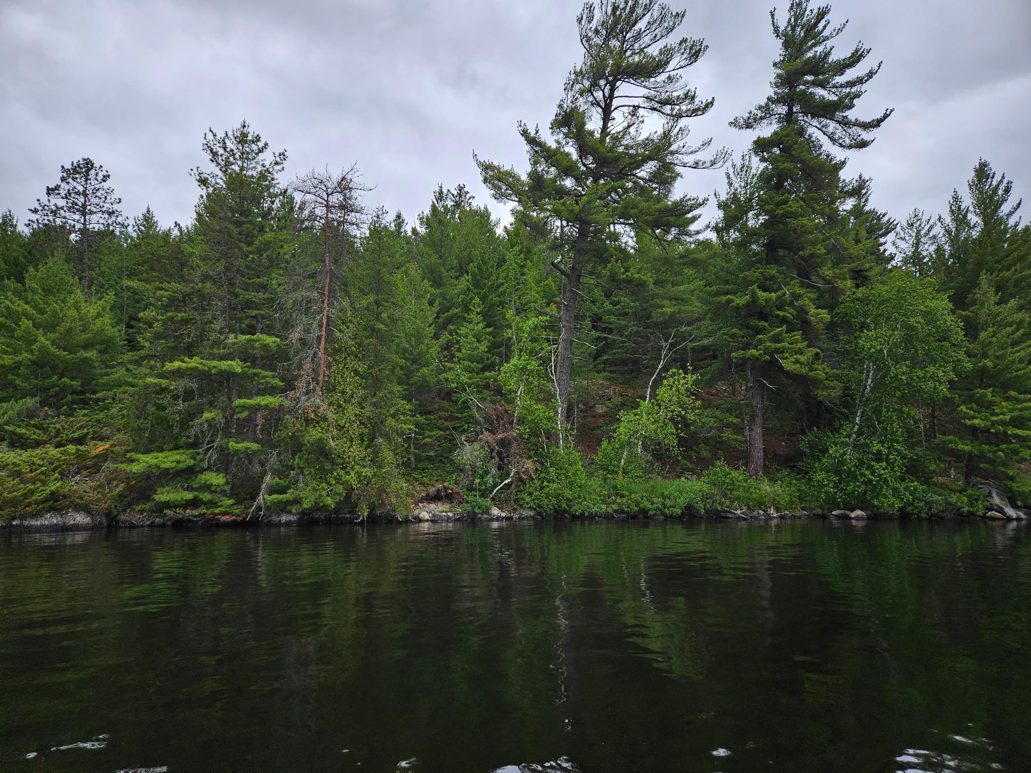 Xxx Hinsdale Island Property Photo 14