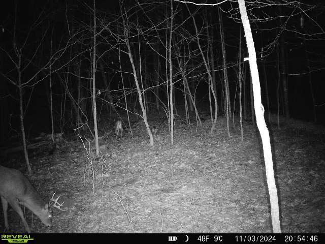 1347 190th Avenue Property Photo 40