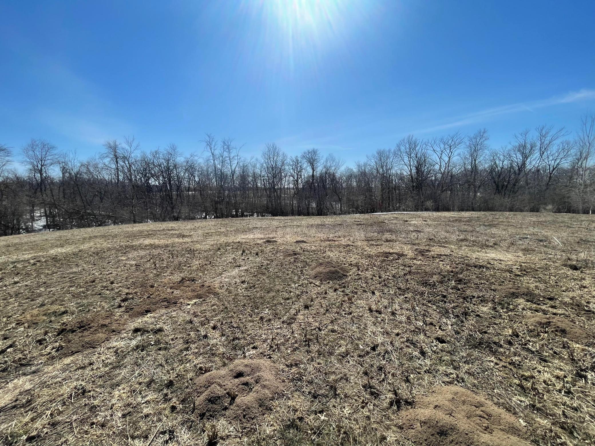 2896 Prairie Woods Lane Property Photo 3