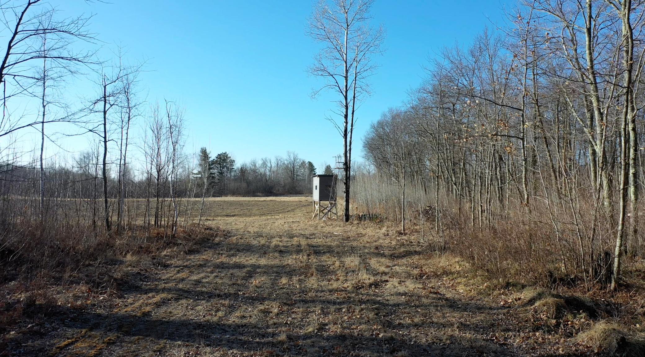 41993 590th Street Property Photo