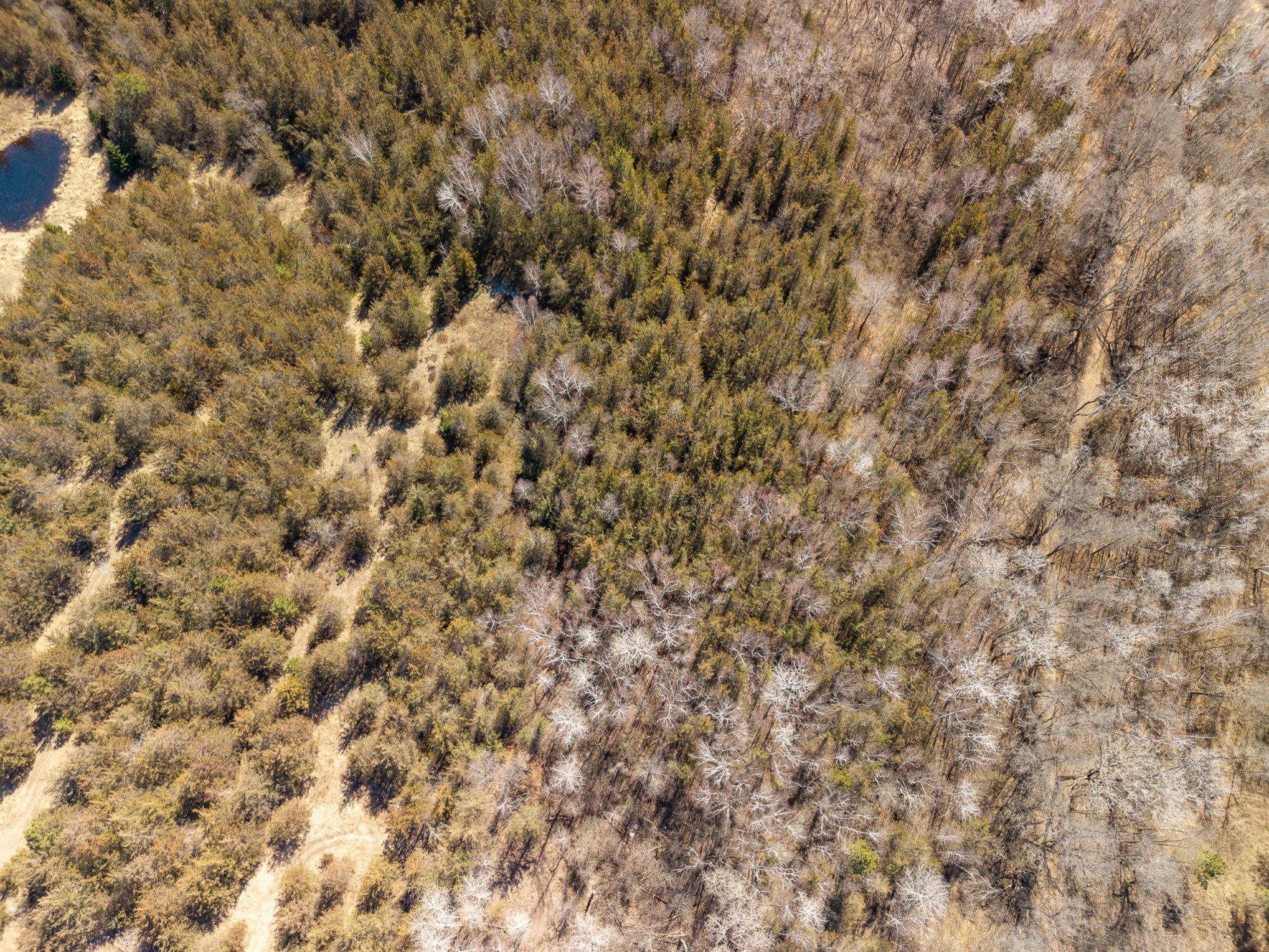 Xxx County Road I Property Photo 2