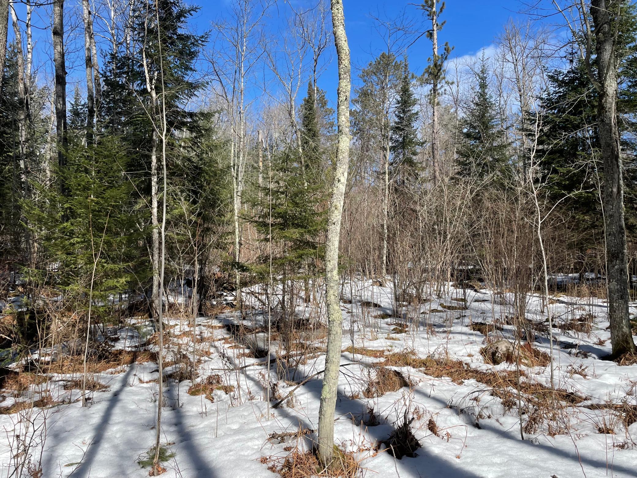 6032 Voyageurs Trail Property Photo 2