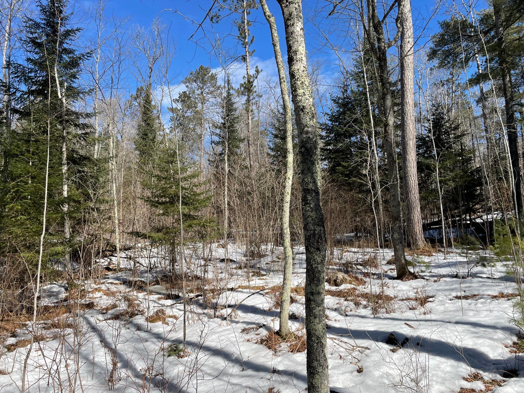6032 Voyageurs Trail Property Photo 4