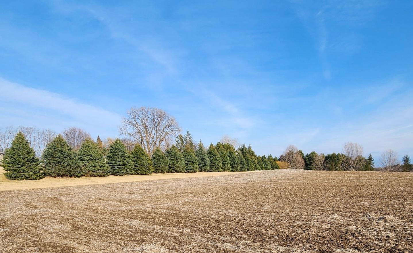 Lot 7 706th St Property Photo 3