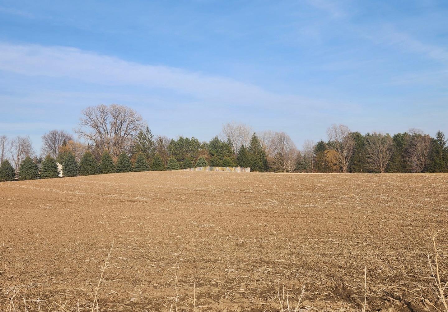 Lot 7 706th St Property Photo 5
