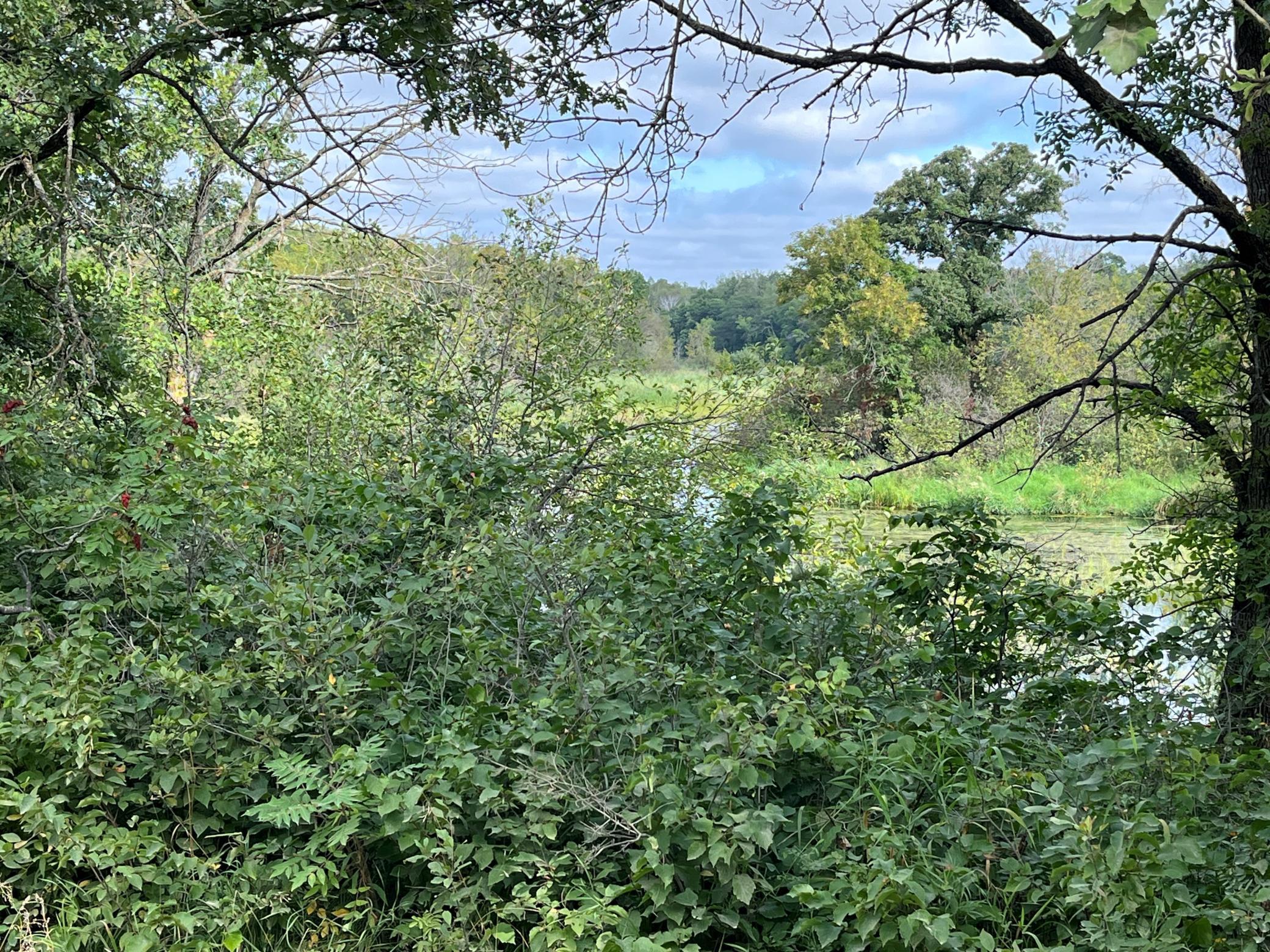 1707 Hassman Hill - Tract A Road Property Photo 3