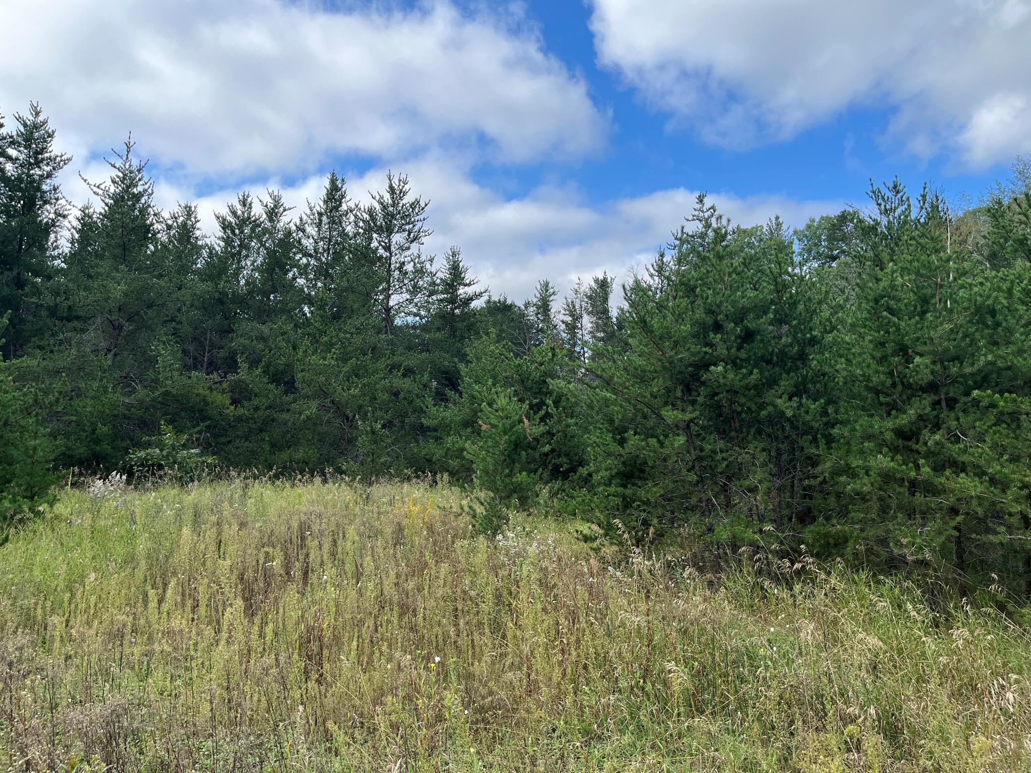 1707 Hassman Hill Tract D Road Property Photo 1