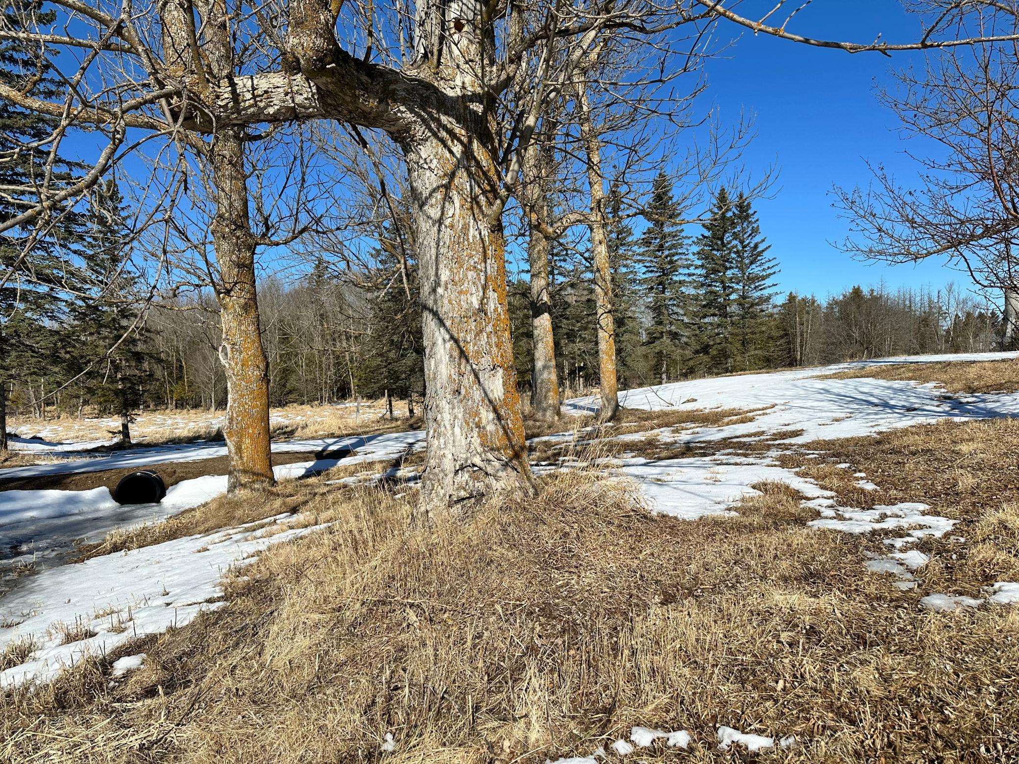 26469 Highway 72 Property Photo 4