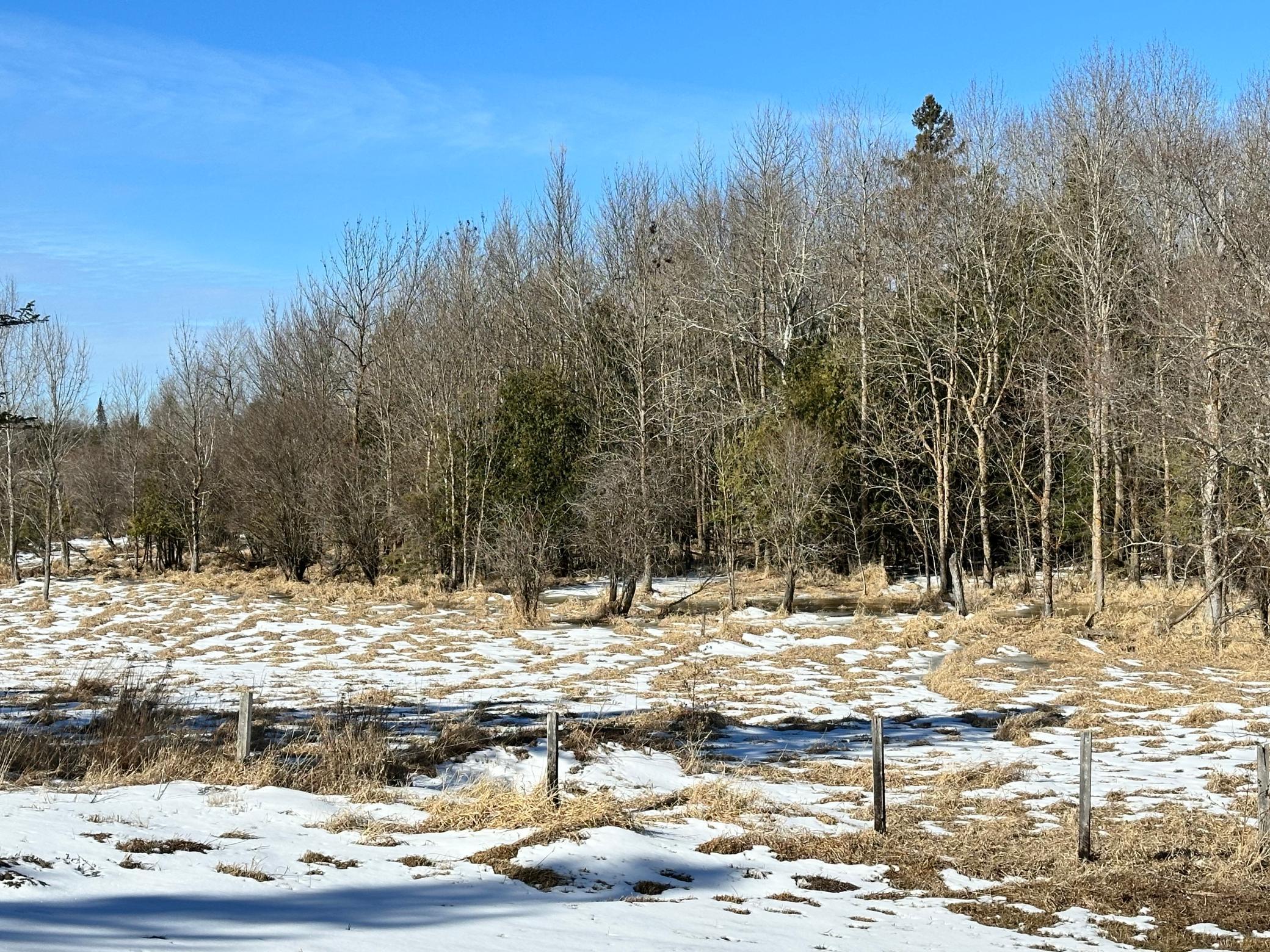 26469 Highway 72 Property Photo 7