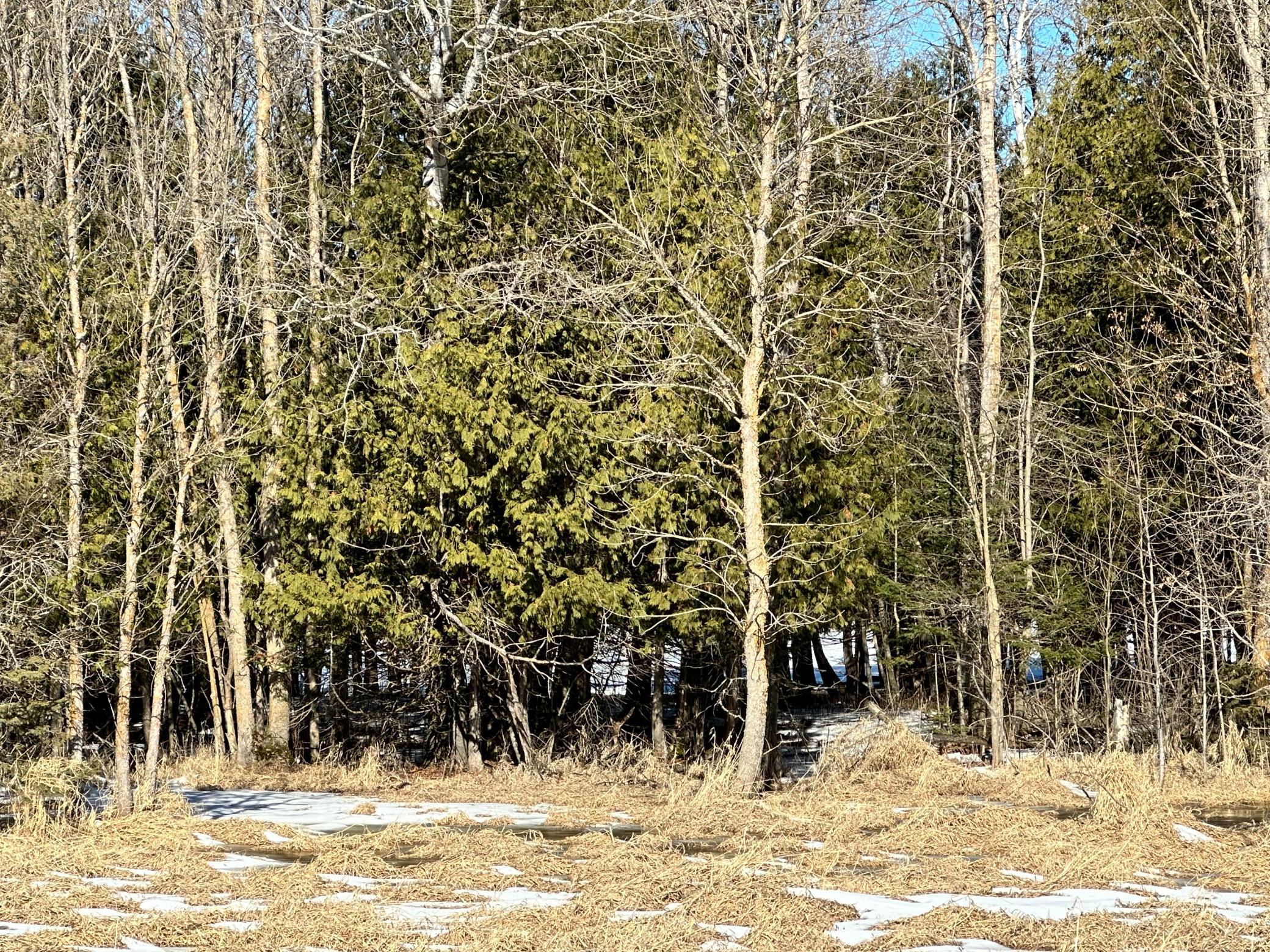 26469 Highway 72 Property Photo 9