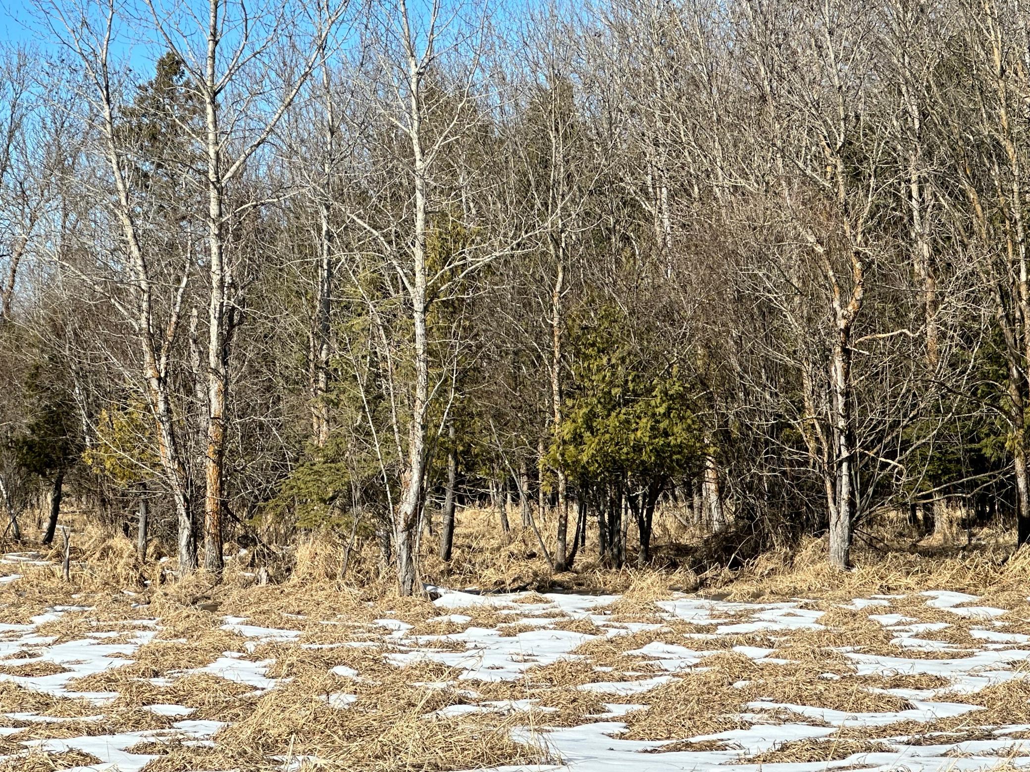 26469 Highway 72 Property Photo 10