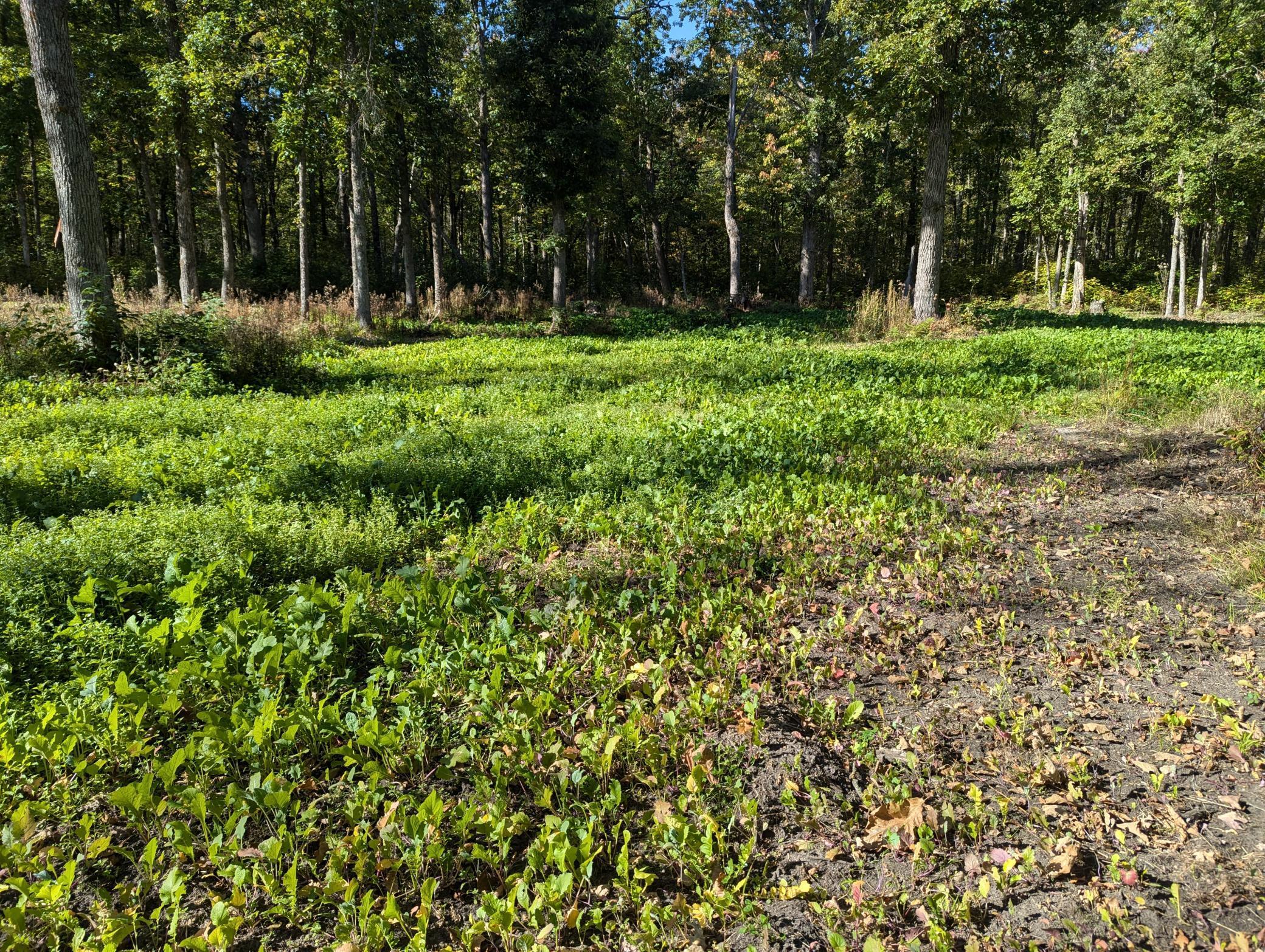 Tbd County 47 Property Photo 1