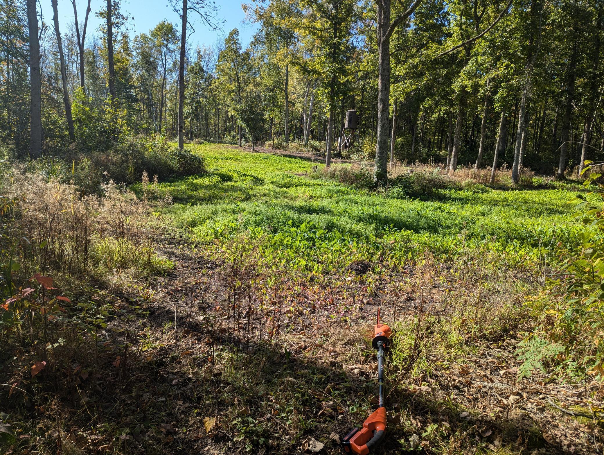 Tbd County 47 Property Photo 2