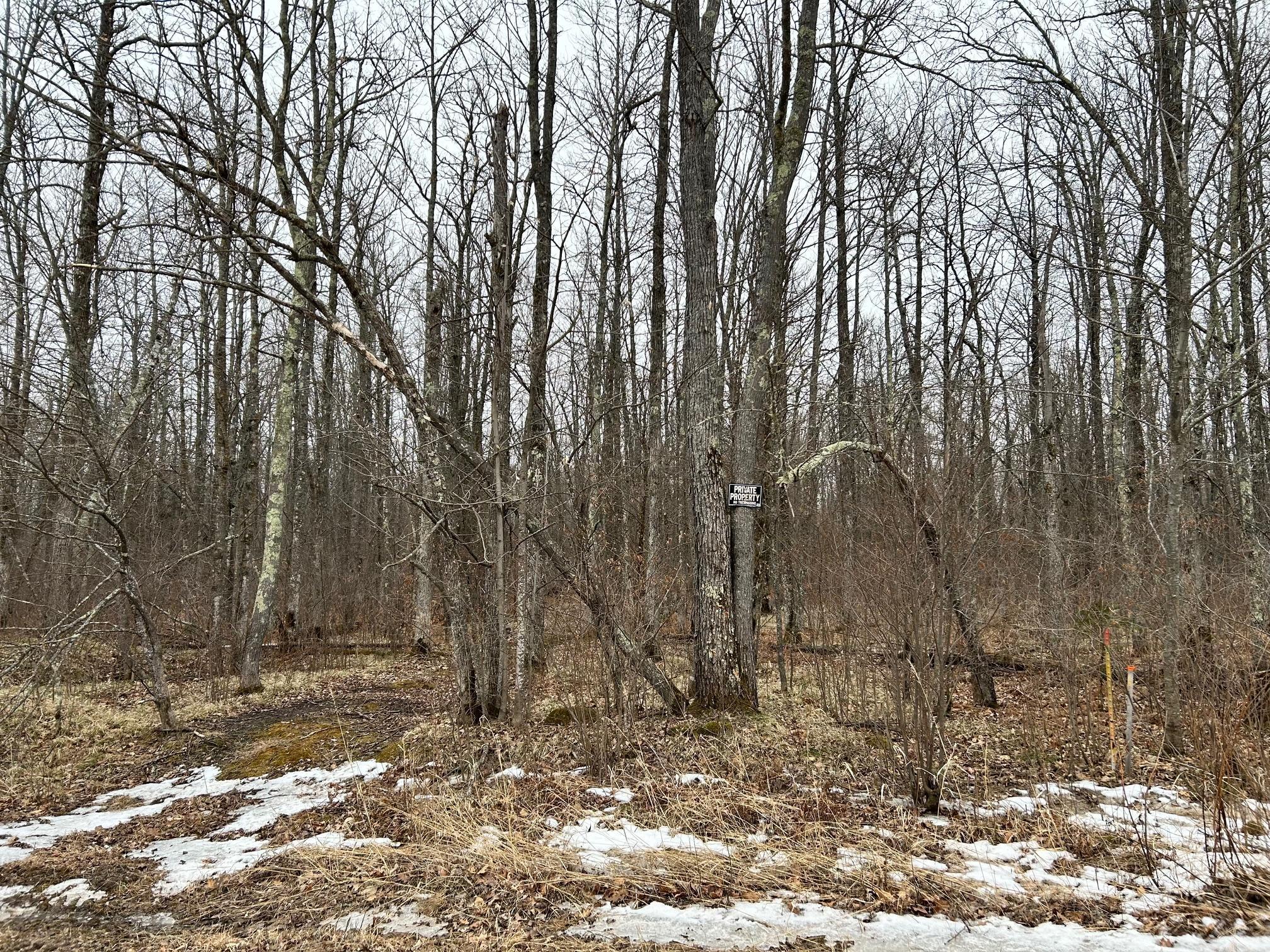 Tbd County 47 Property Photo 5