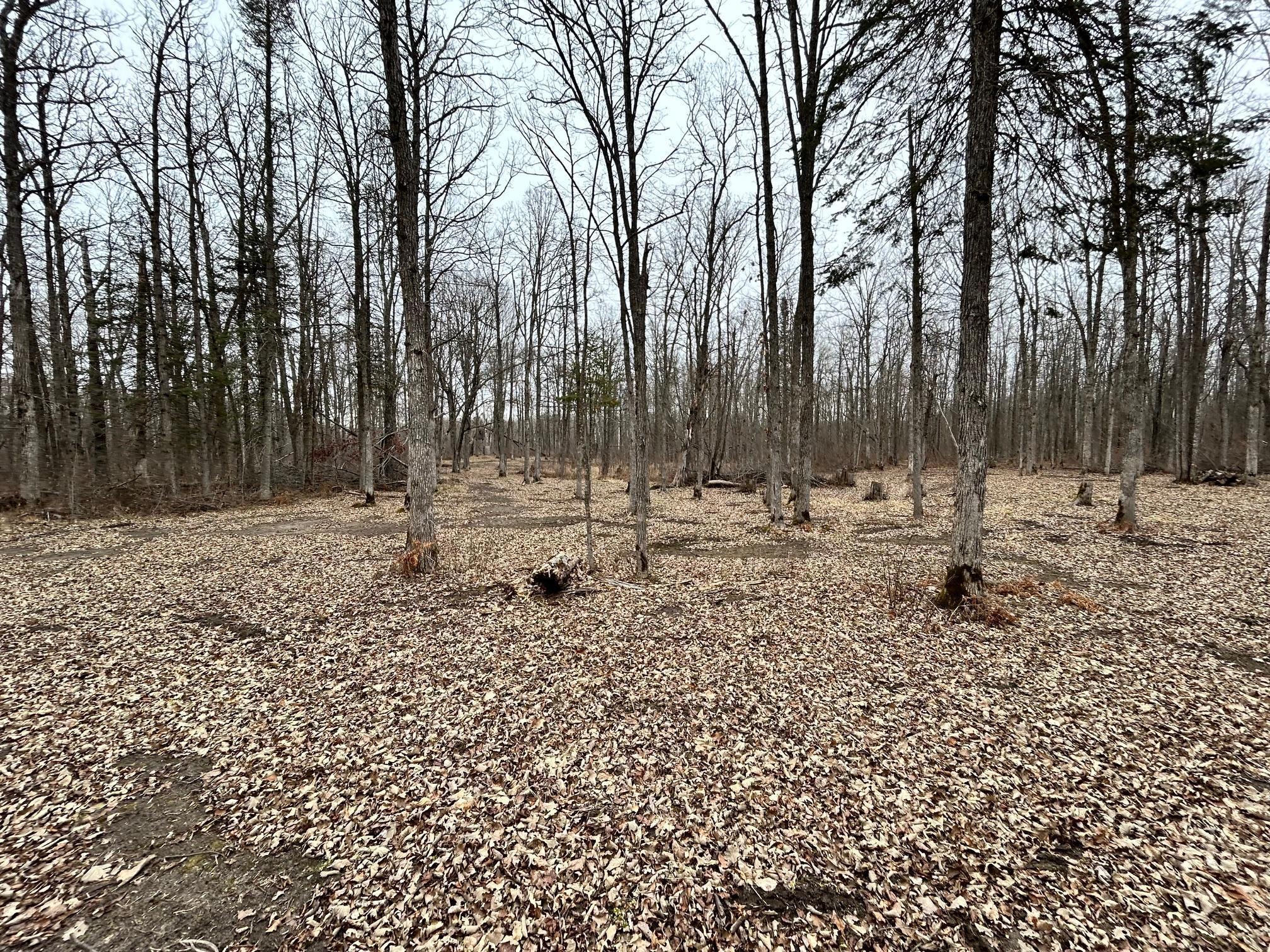 Tbd County 47 Property Photo 7