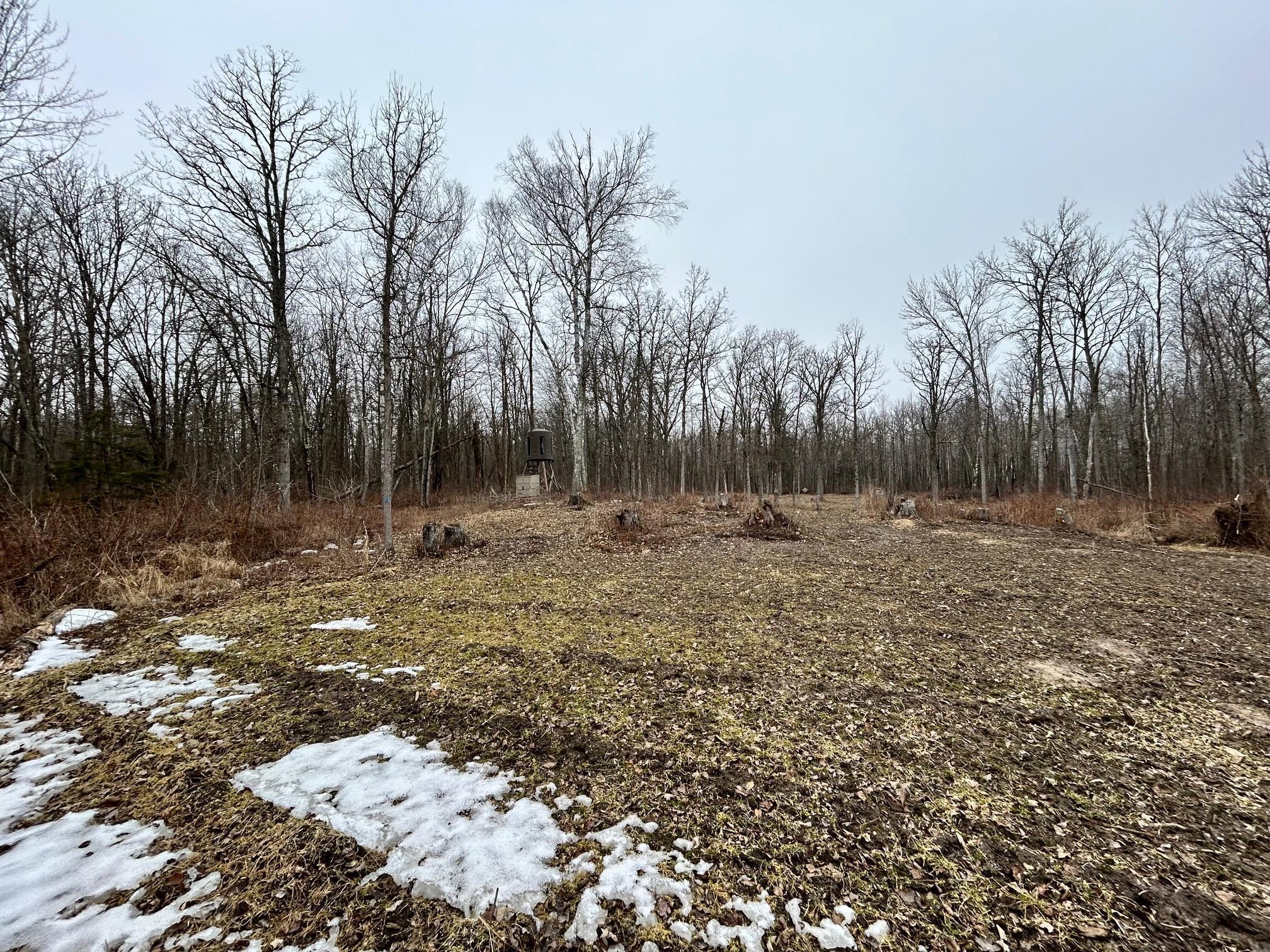 Tbd County 47 Property Photo 8