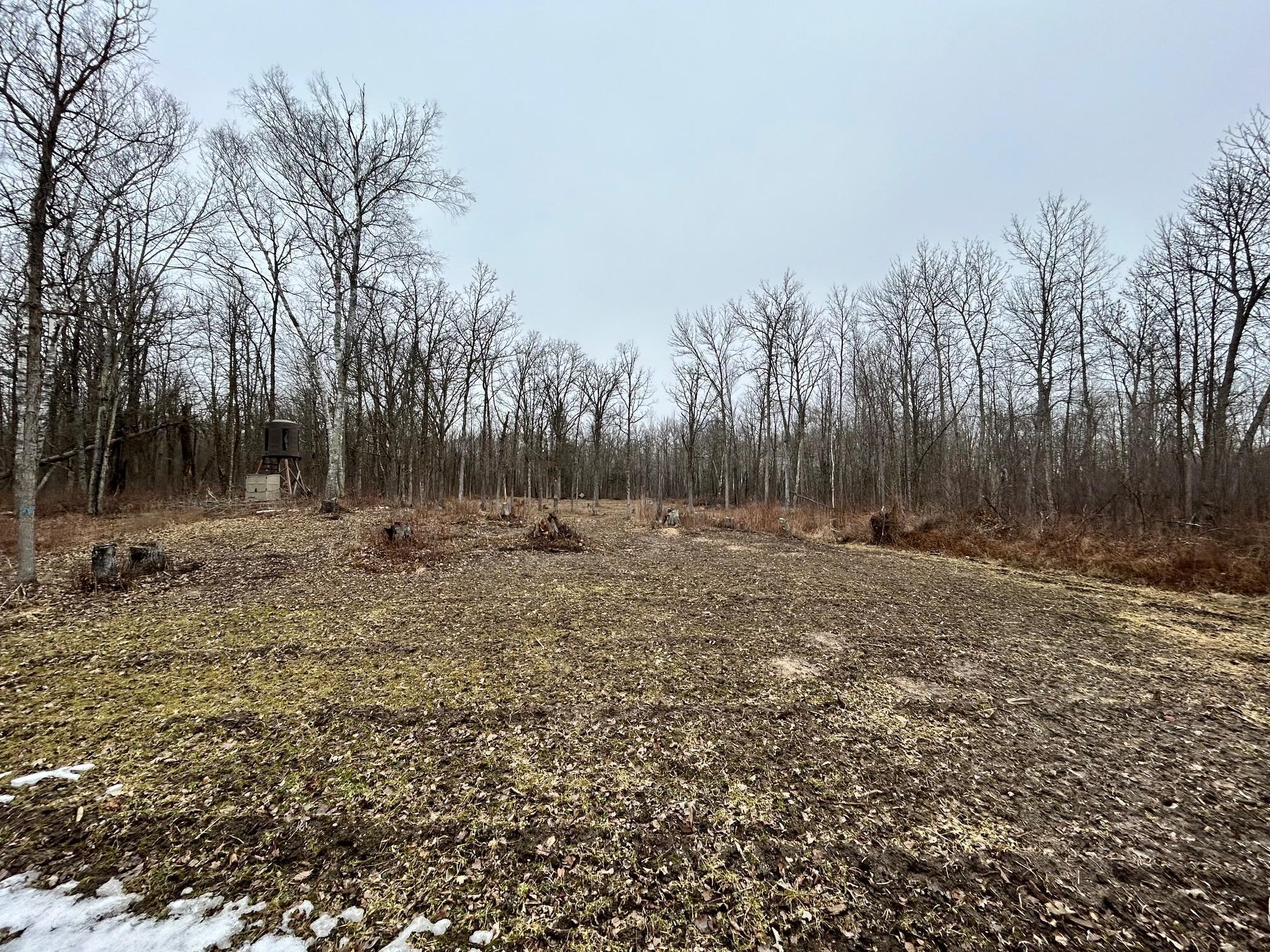Tbd County 47 Property Photo 13