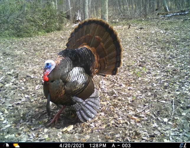 Tbd County 47 Property Photo 15